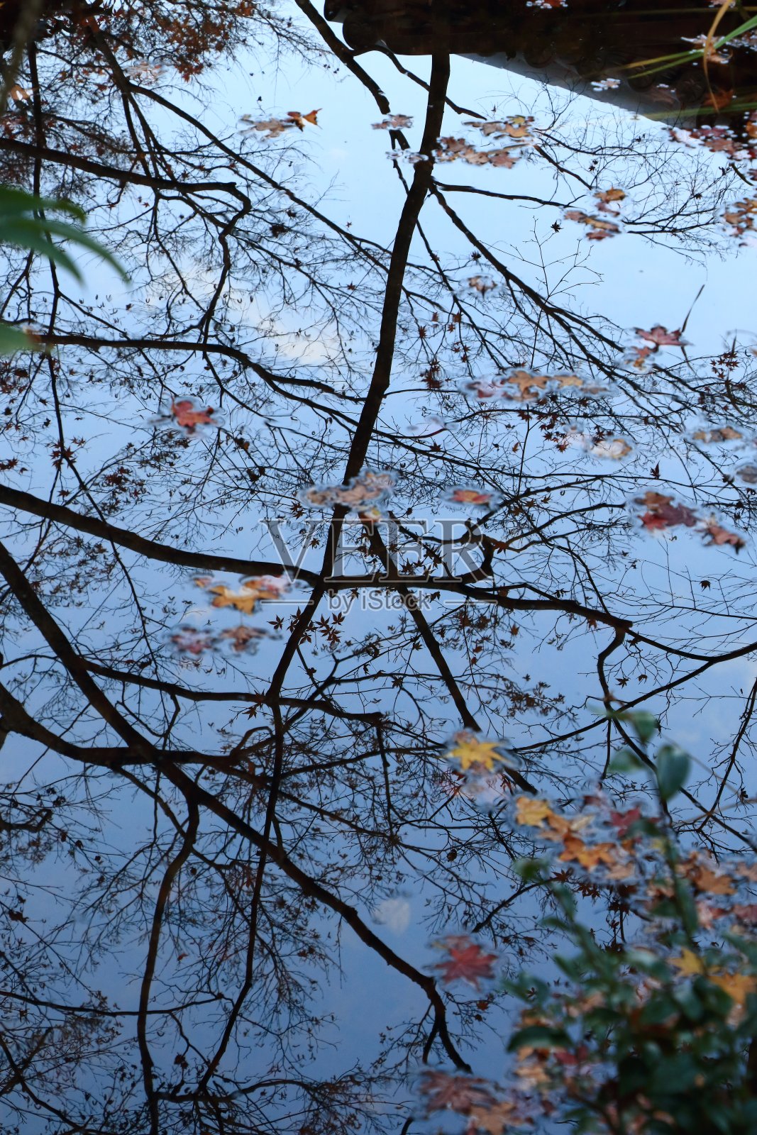 秋天京都日本照片摄影图片