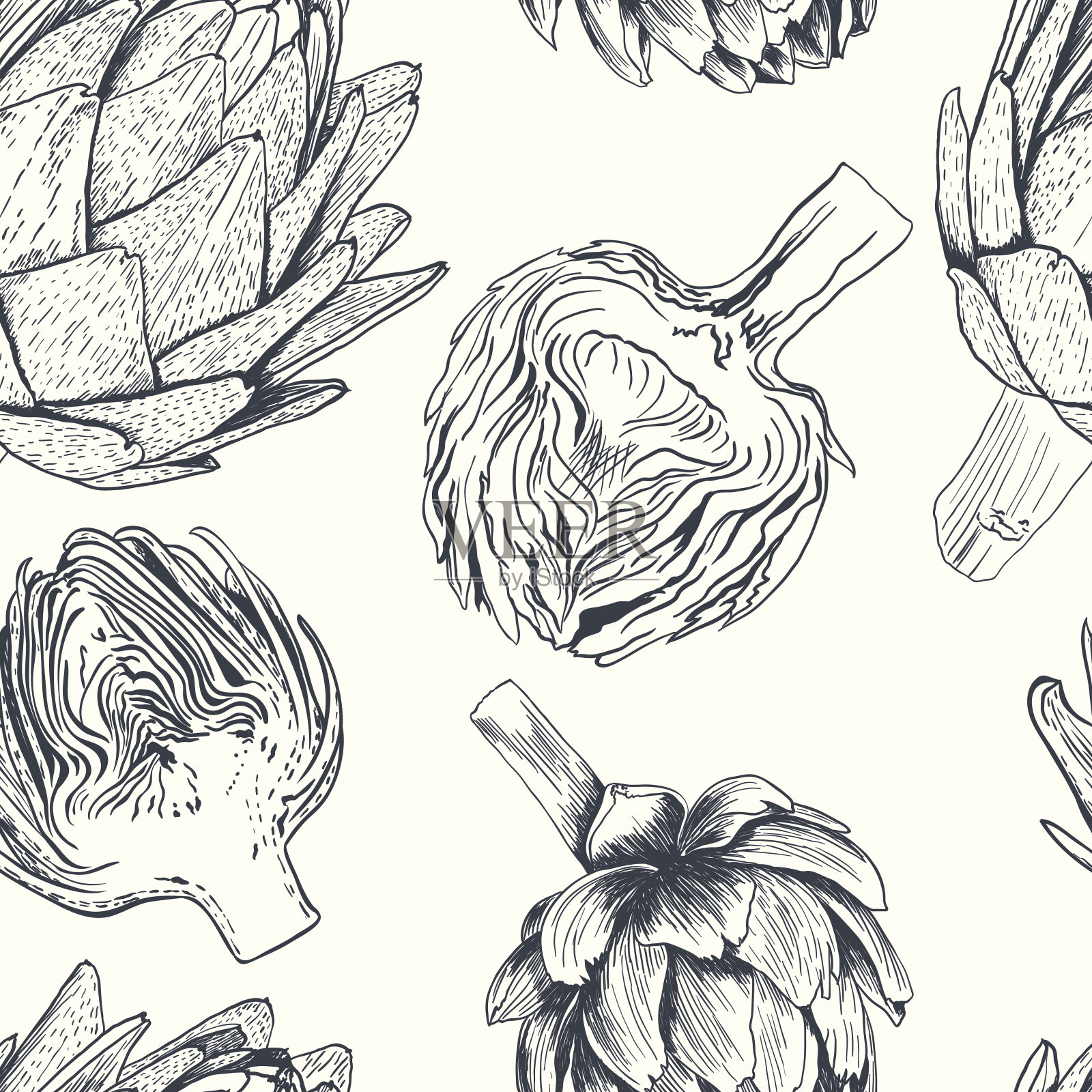 矢量手绘洋蓟插图。食物收集插画图片素材