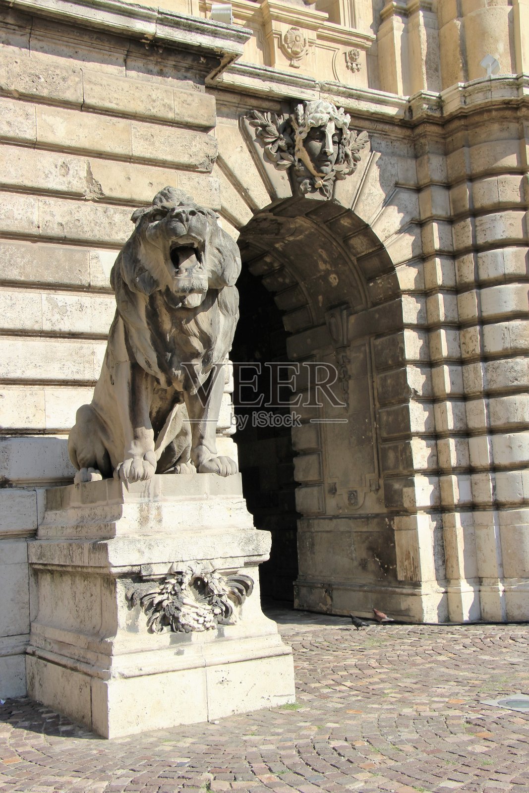 布达佩斯——布达山的狮子和建筑照片摄影图片