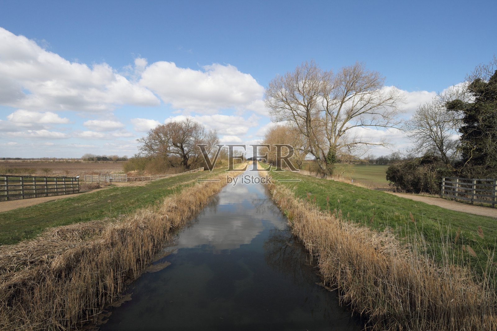 冬天河畔照片摄影图片