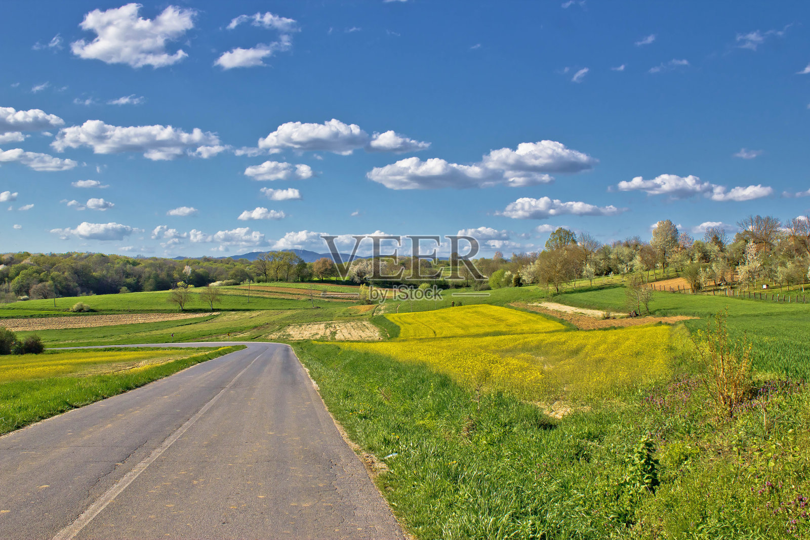 普里戈耶地区春季景观路照片摄影图片