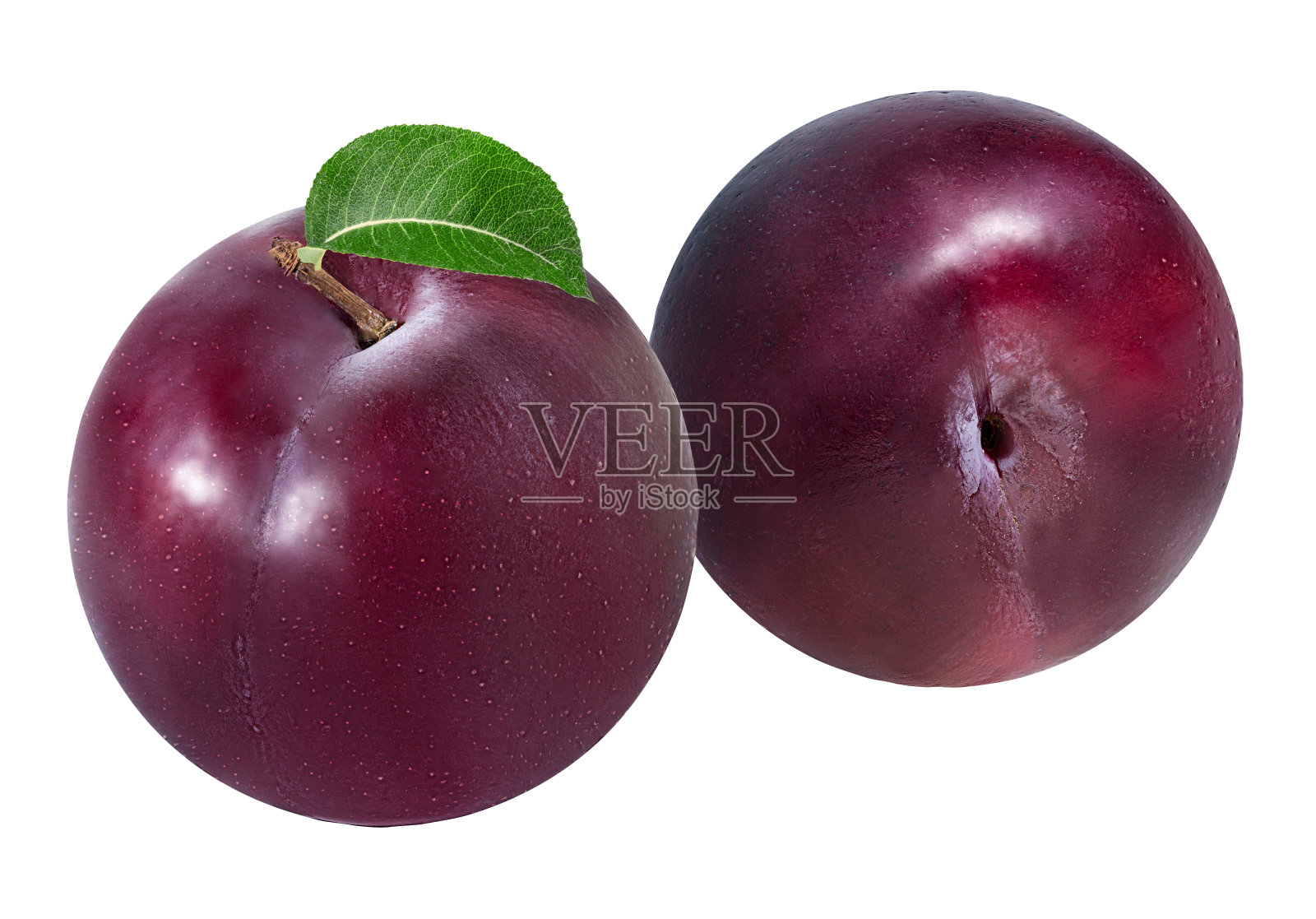 白色的李子照片摄影图片