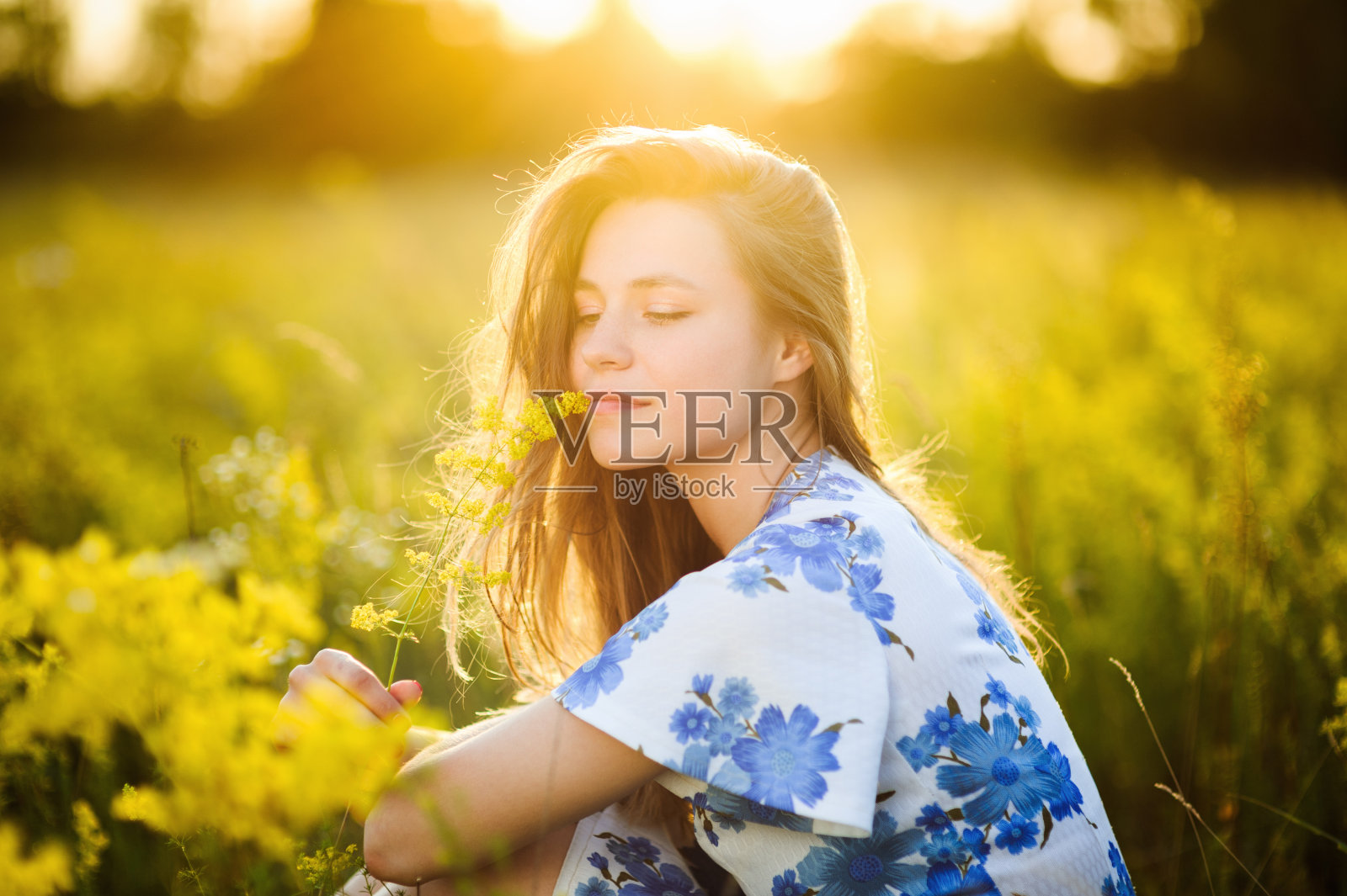 美丽的女孩花田花田阳光健康的生活方式照片摄影图片