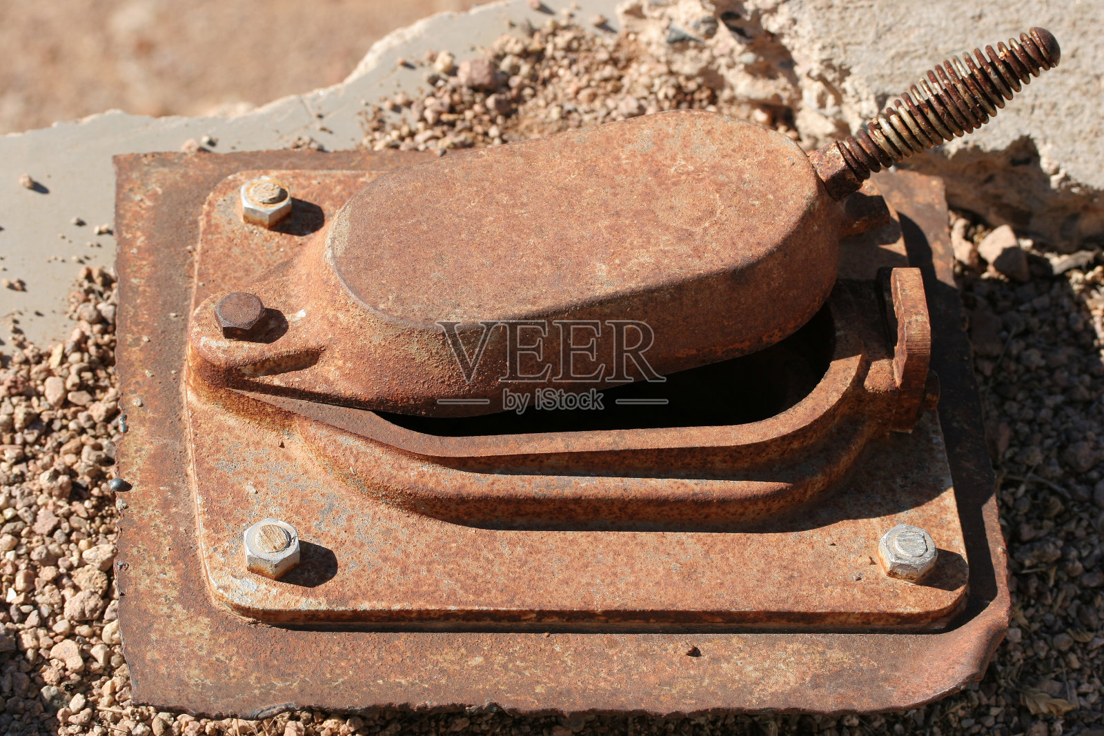 孵化照片摄影图片