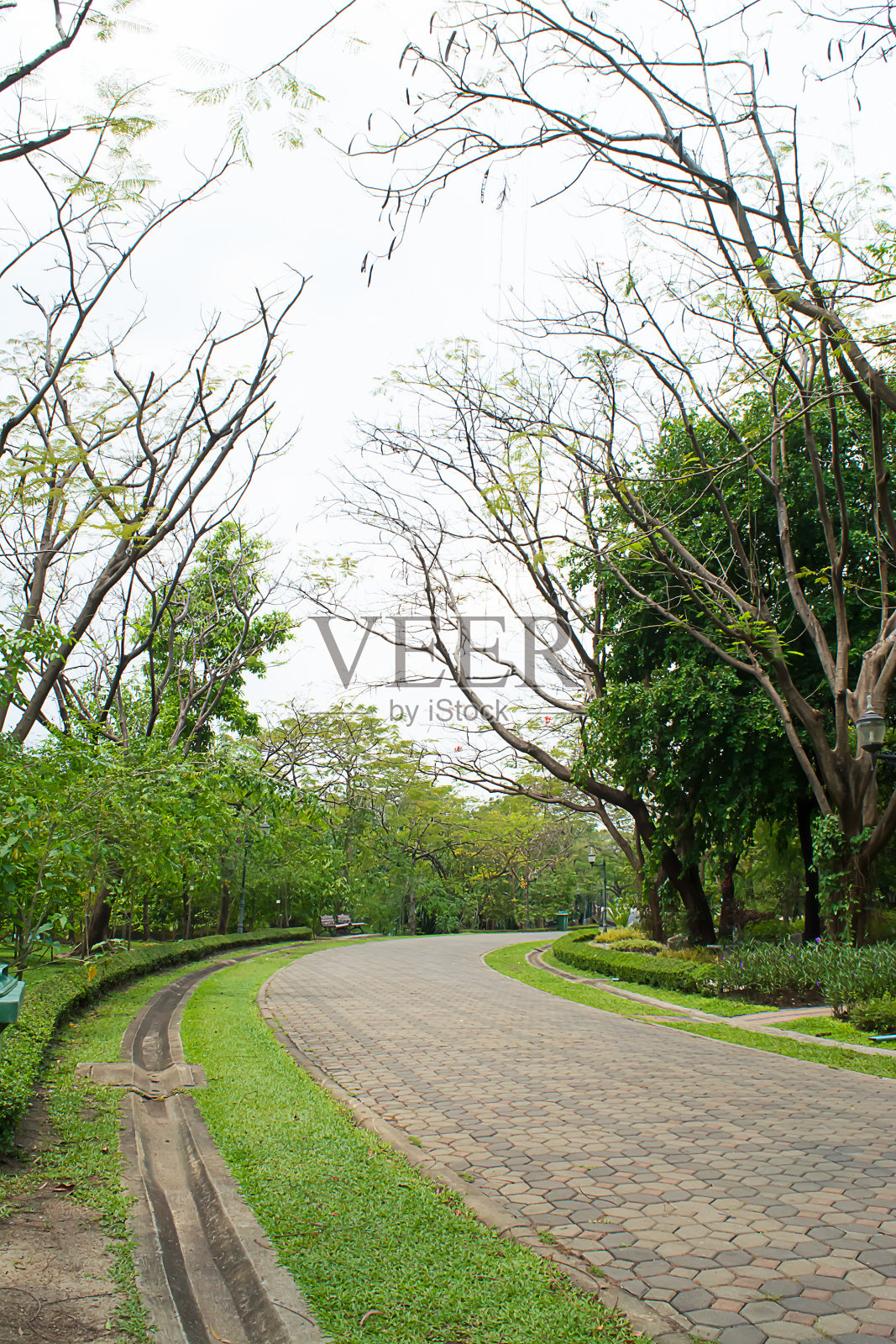 公园照片摄影图片