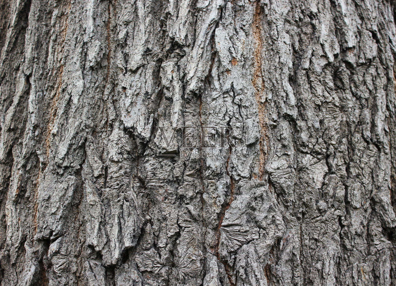 木头的背景照片摄影图片