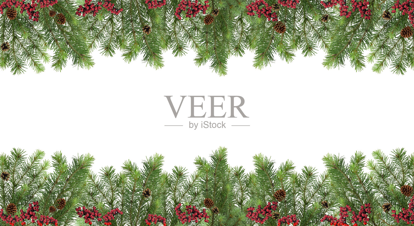 宽节日模式。圣诞树，松果和红浆果。隔离。照片摄影图片