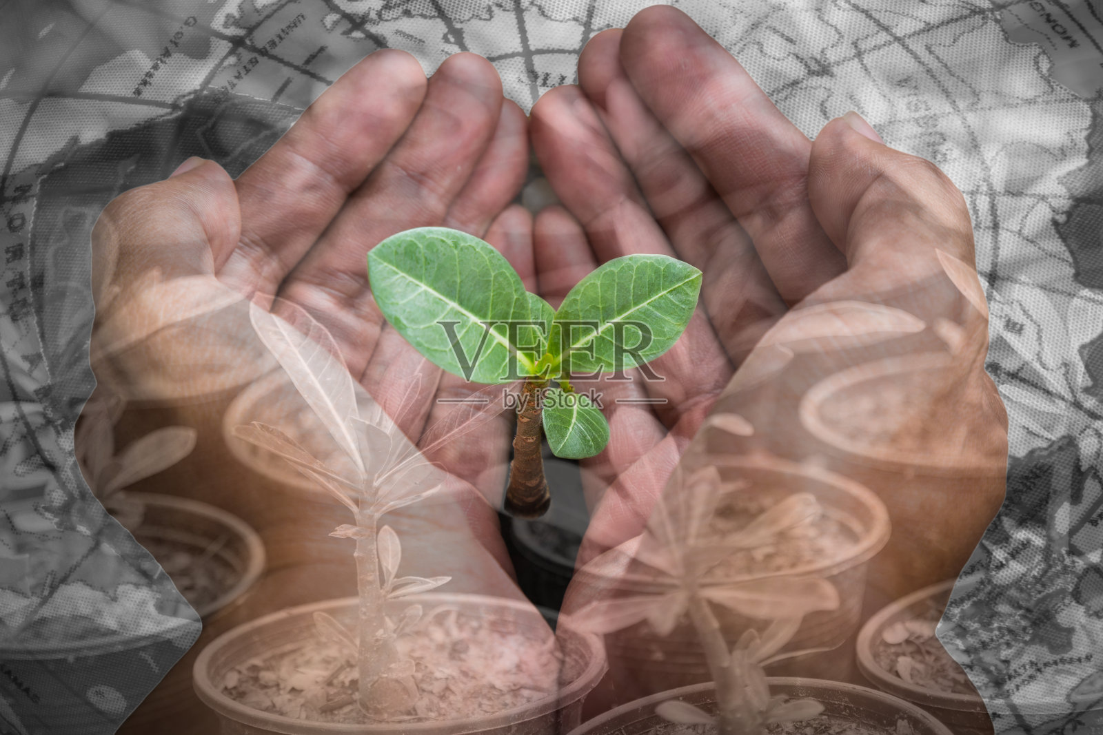 环境的概念照片摄影图片