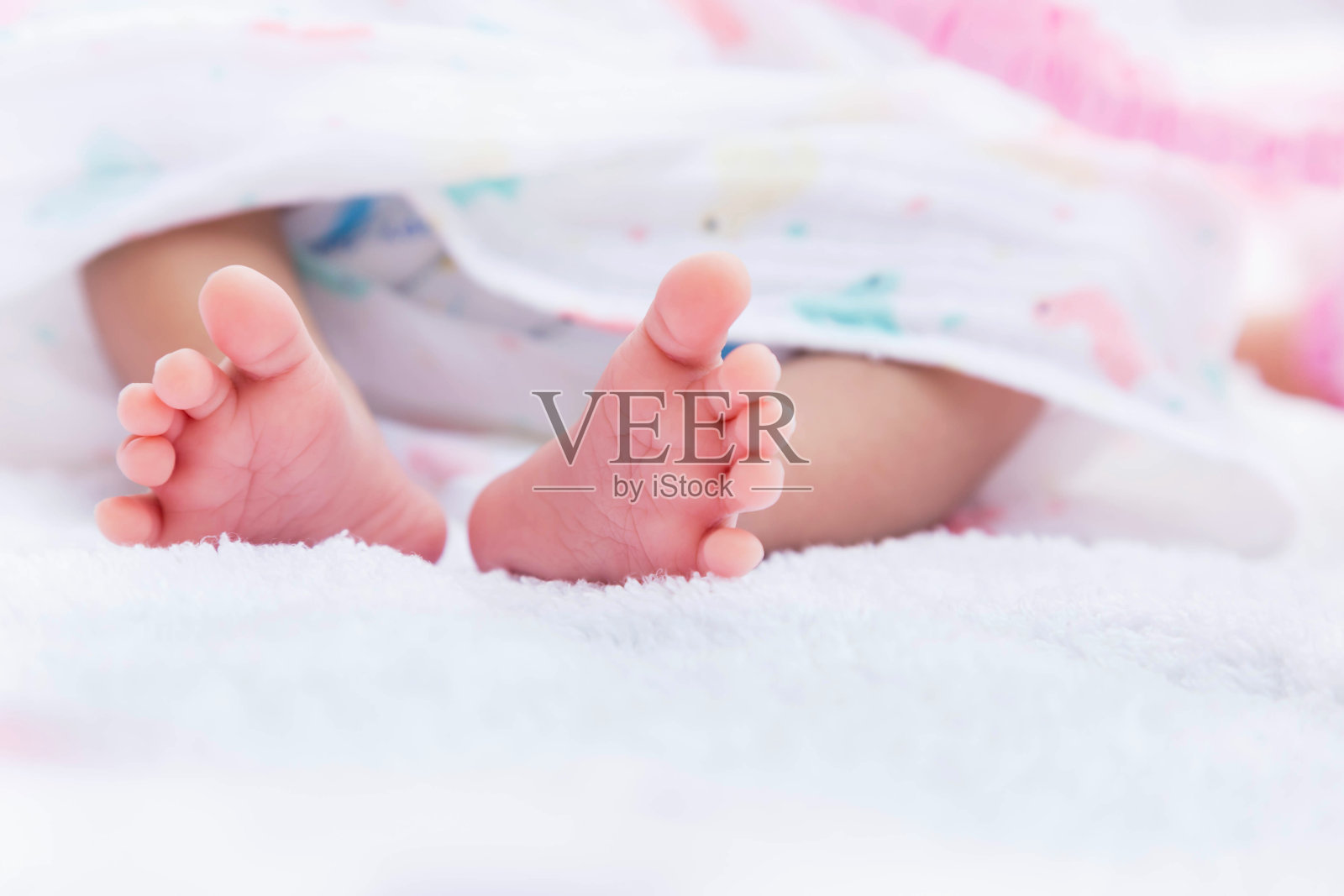 新生儿的小脚上裹着白色的毛巾照片摄影图片