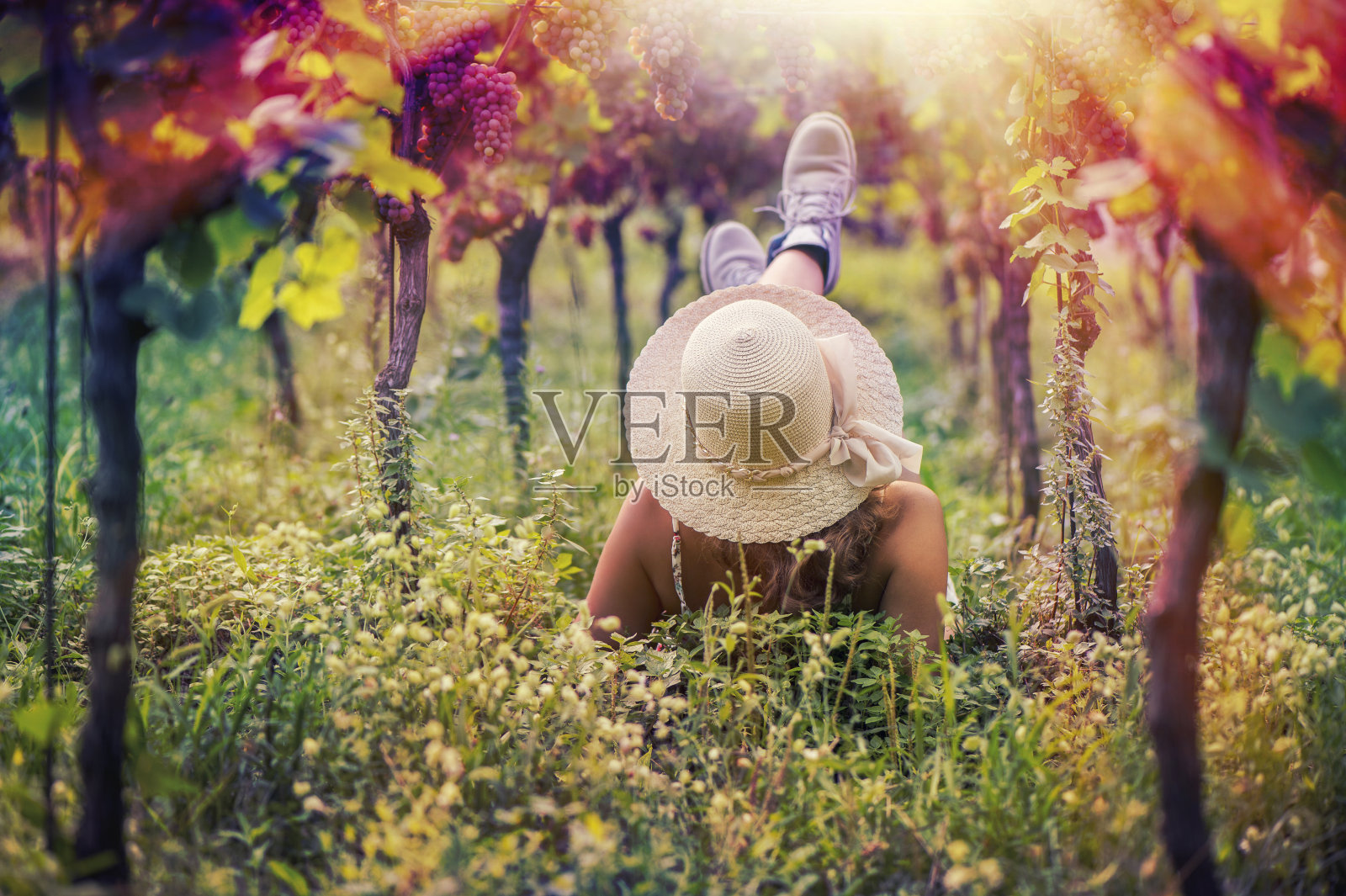 葡萄园里戴着帽子的美女照片摄影图片