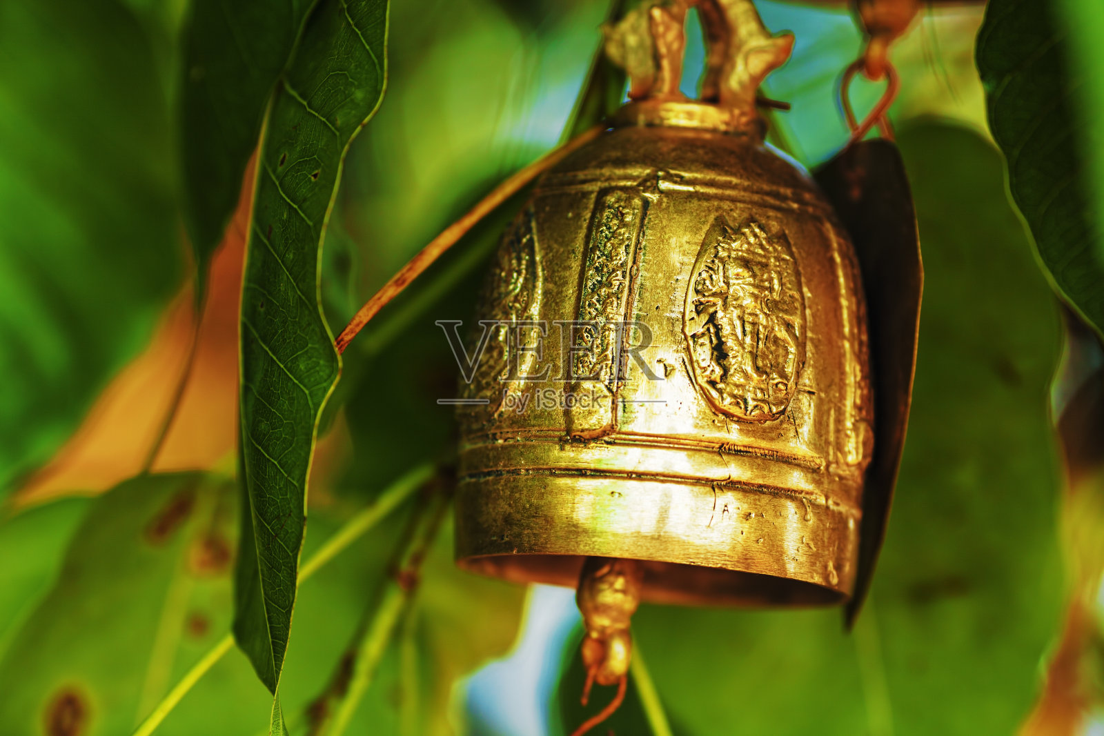 希望贝尔照片摄影图片