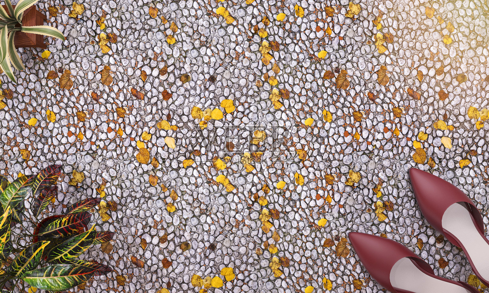 3d渲染俯视图植物和鞋在卵石地面插画图片素材