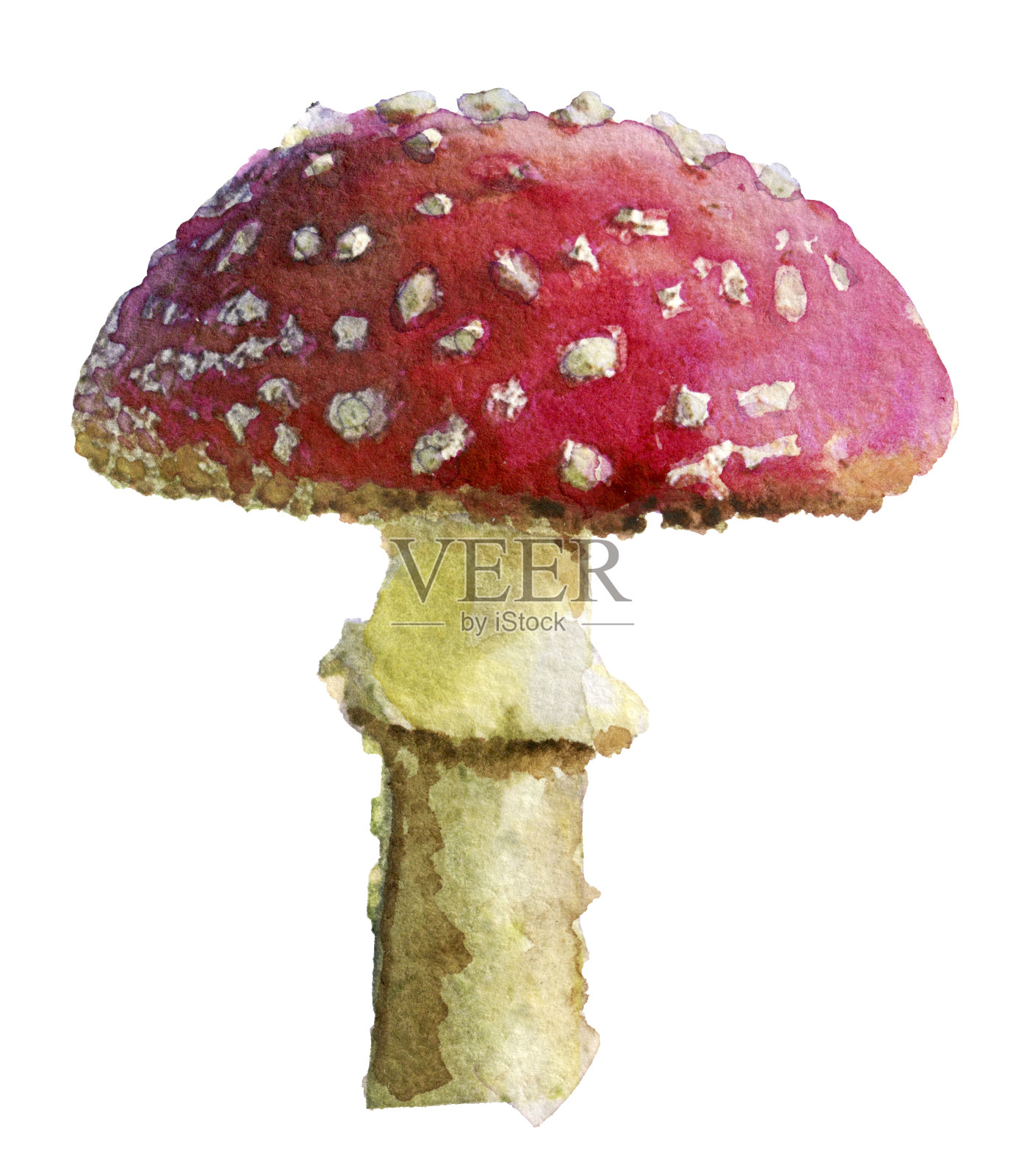 白底白伞的水彩素描插画图片素材