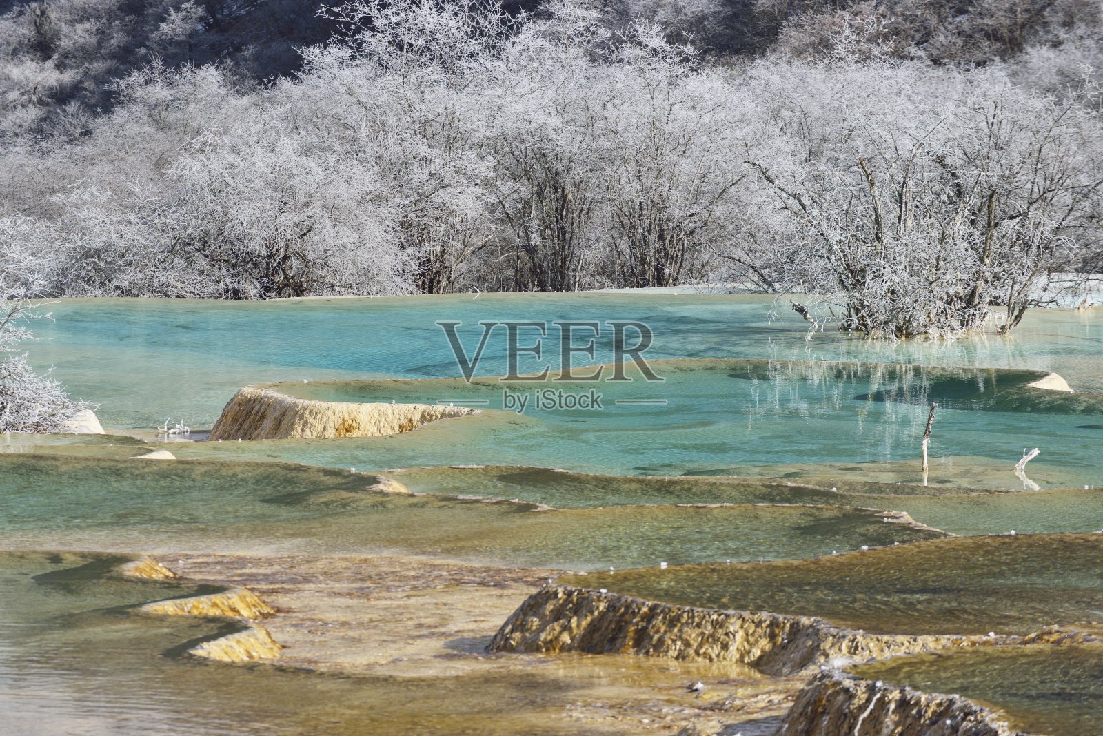 黄龙国家自然保护区(中国四川)照片摄影图片