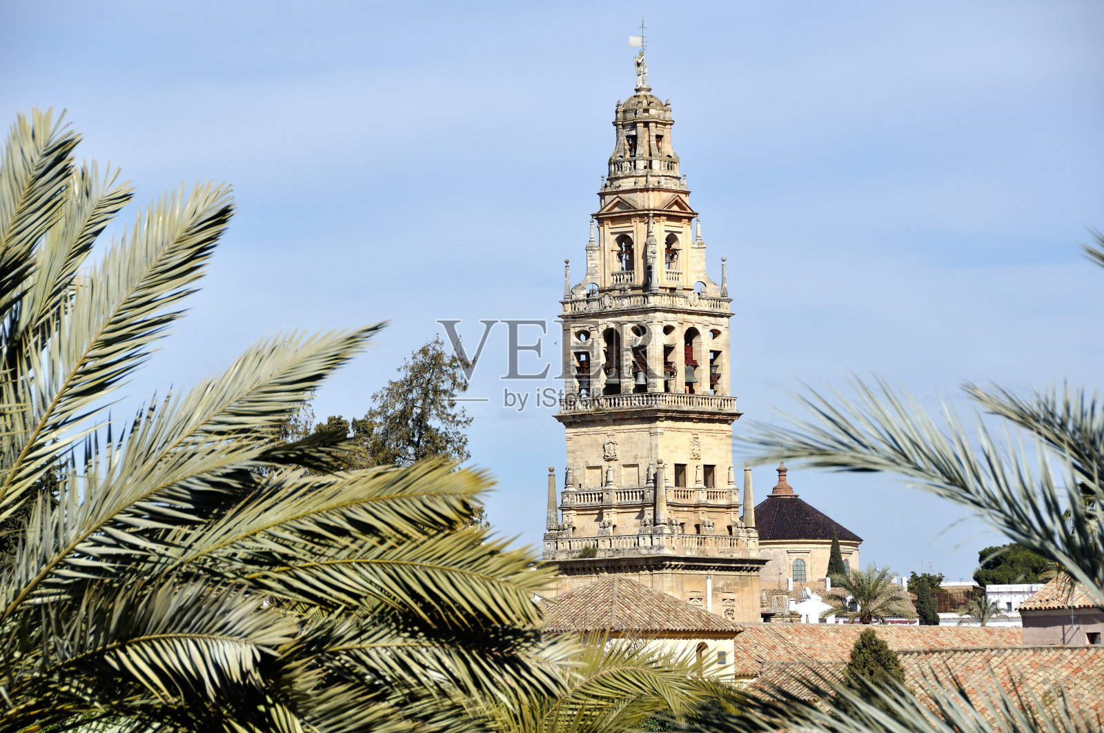 西班牙科尔多瓦的钟楼和棕榈树。照片摄影图片