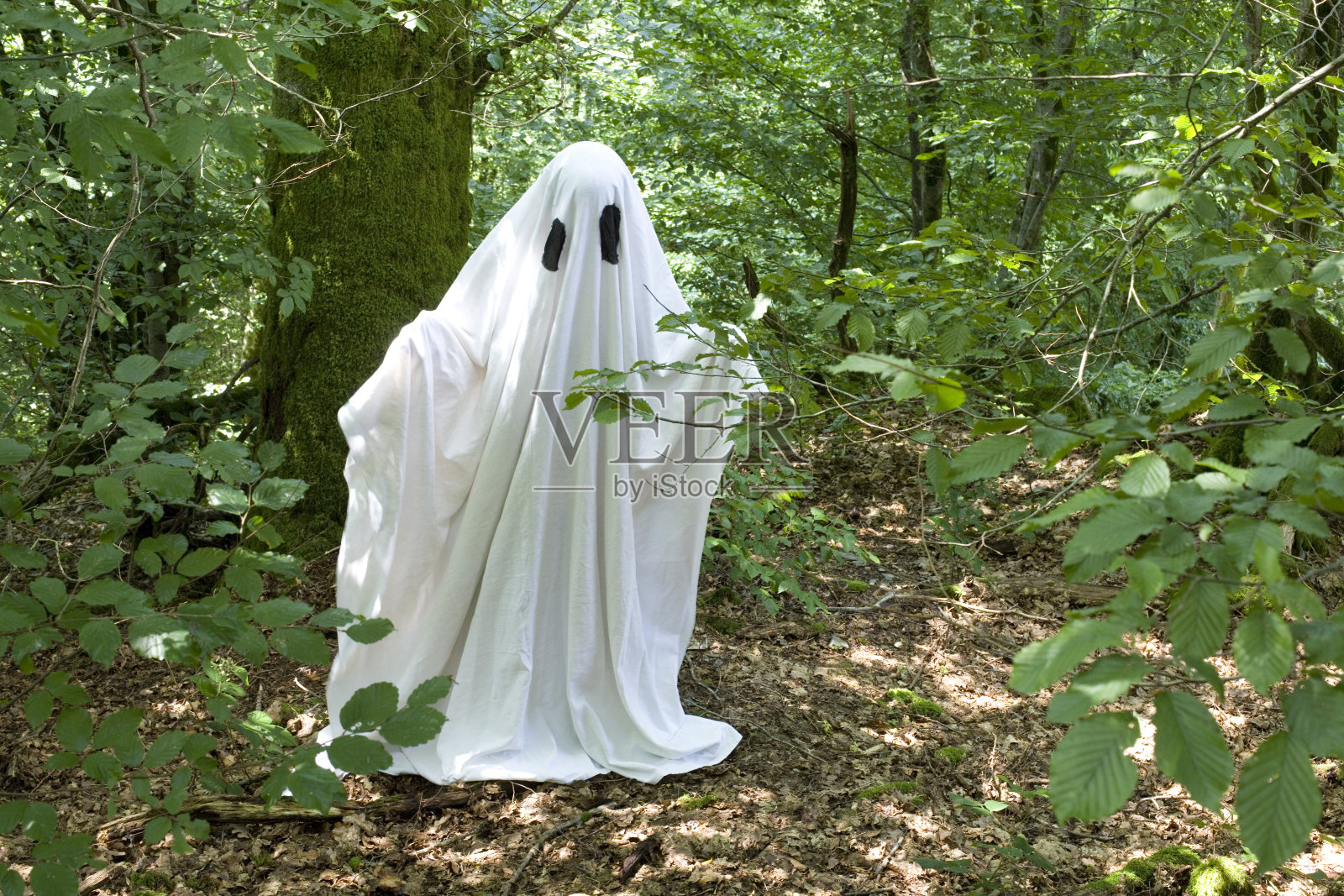 鬼在森林照片摄影图片