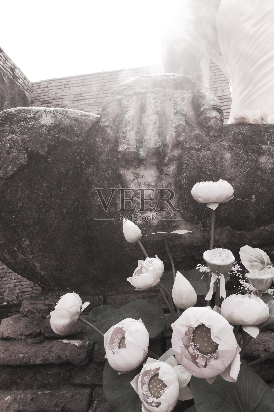 佛照片摄影图片