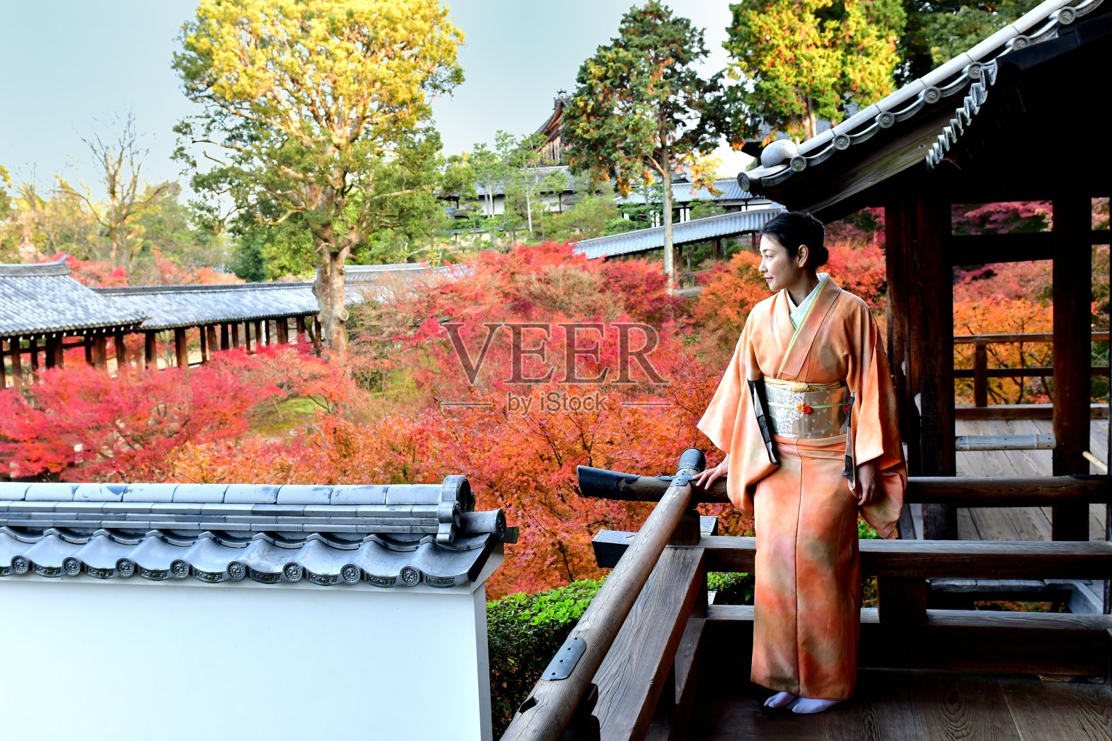 京都Tofuku-ji，穿着和服和秋叶的日本女人照片摄影图片
