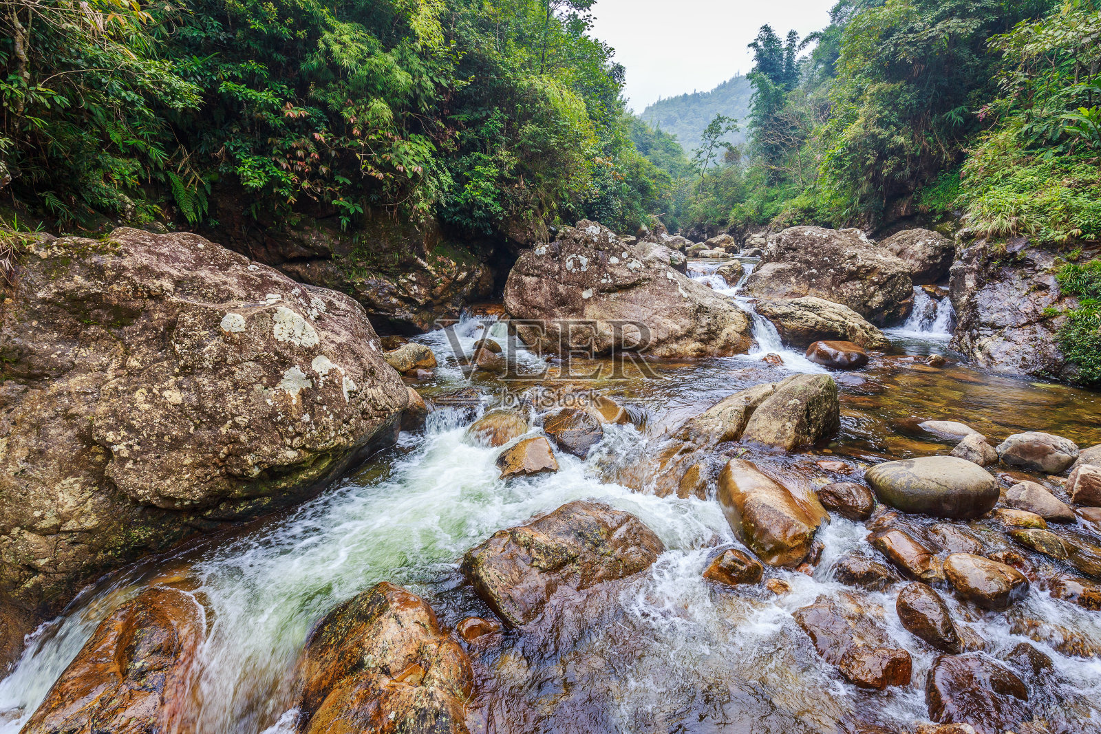 热带森林中流动的河流照片摄影图片
