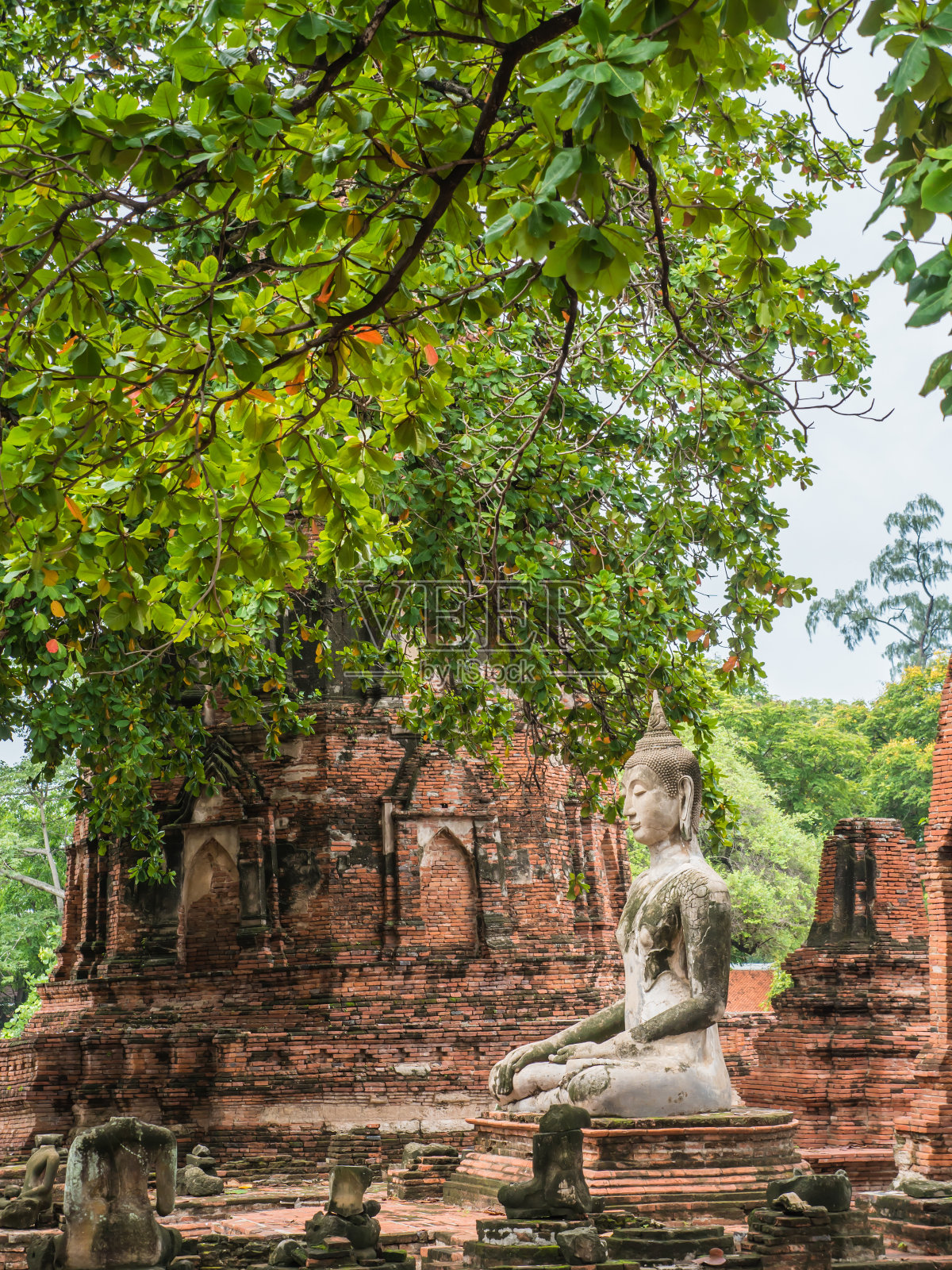 玛哈塔寺的佛像照片摄影图片