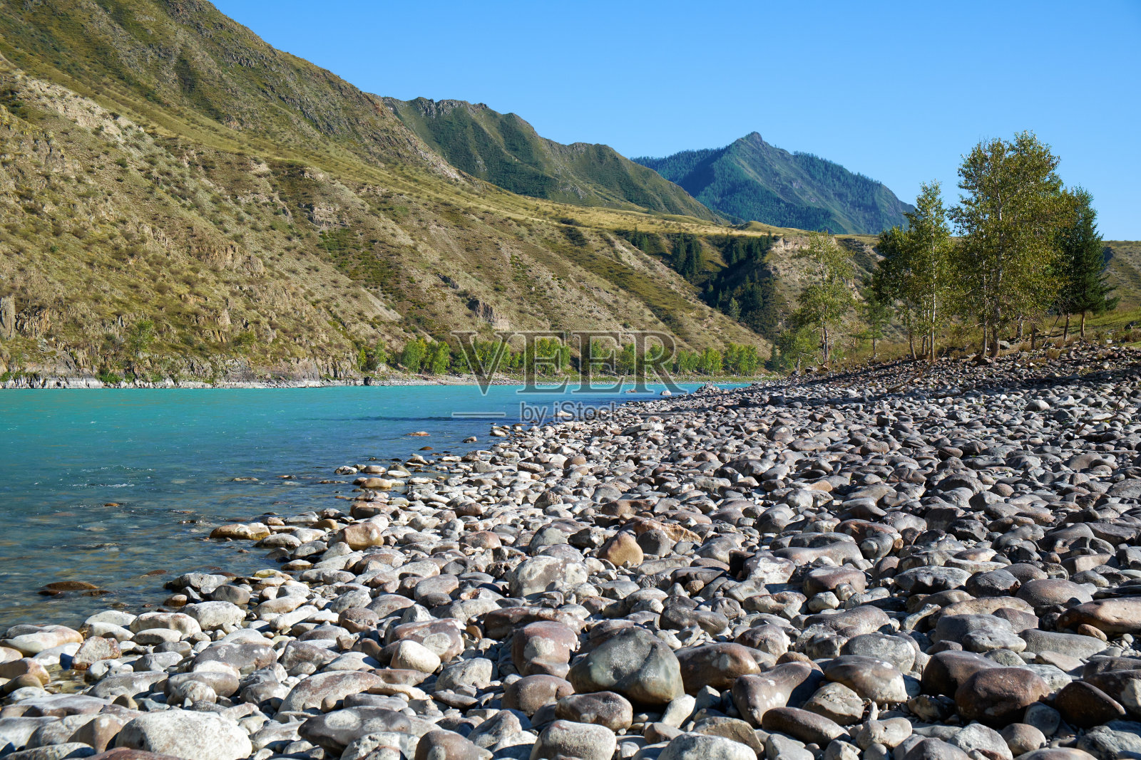阿尔泰山脉的西伯利亚喀顿河照片摄影图片