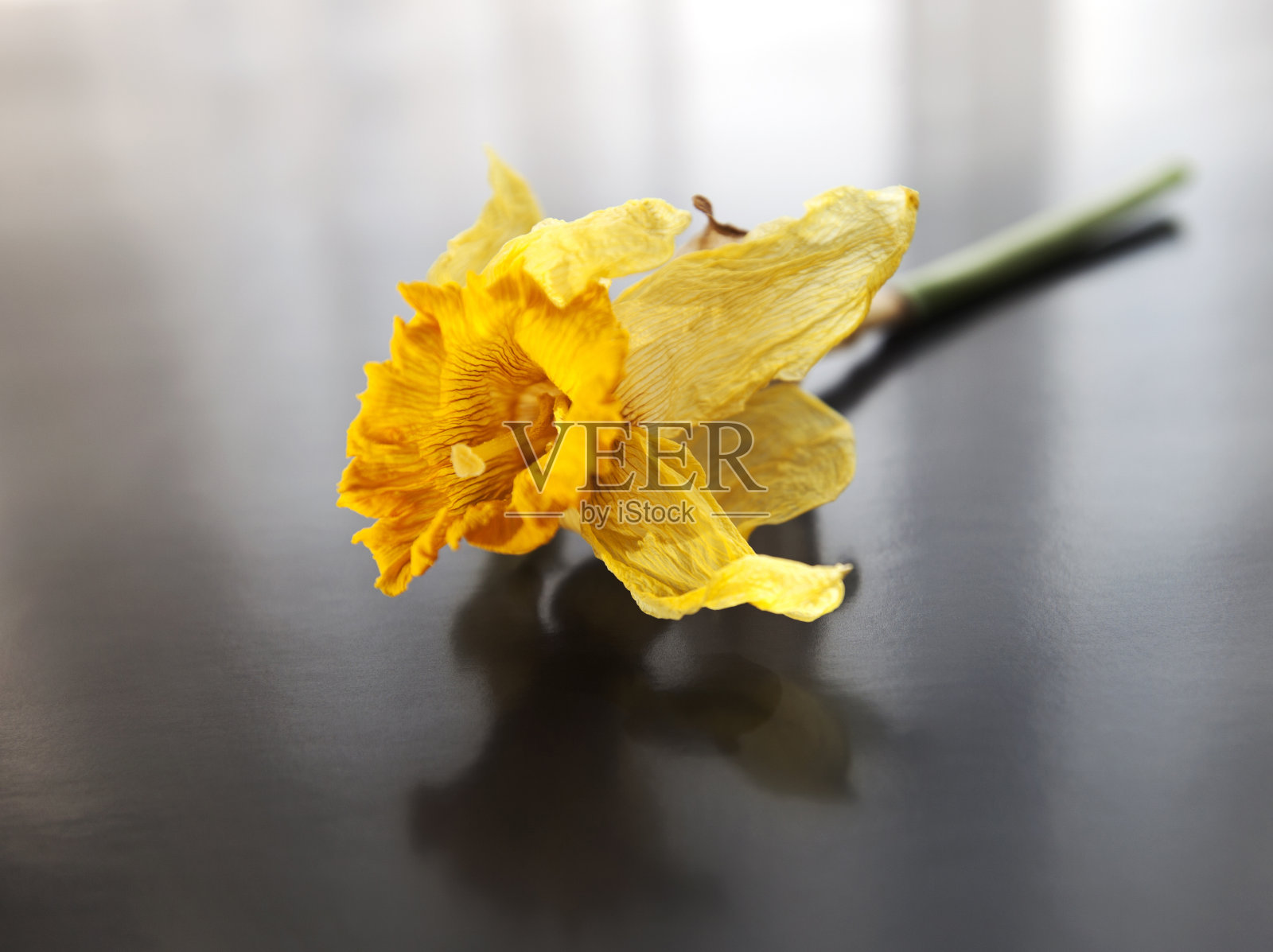 干那喀索斯照片摄影图片