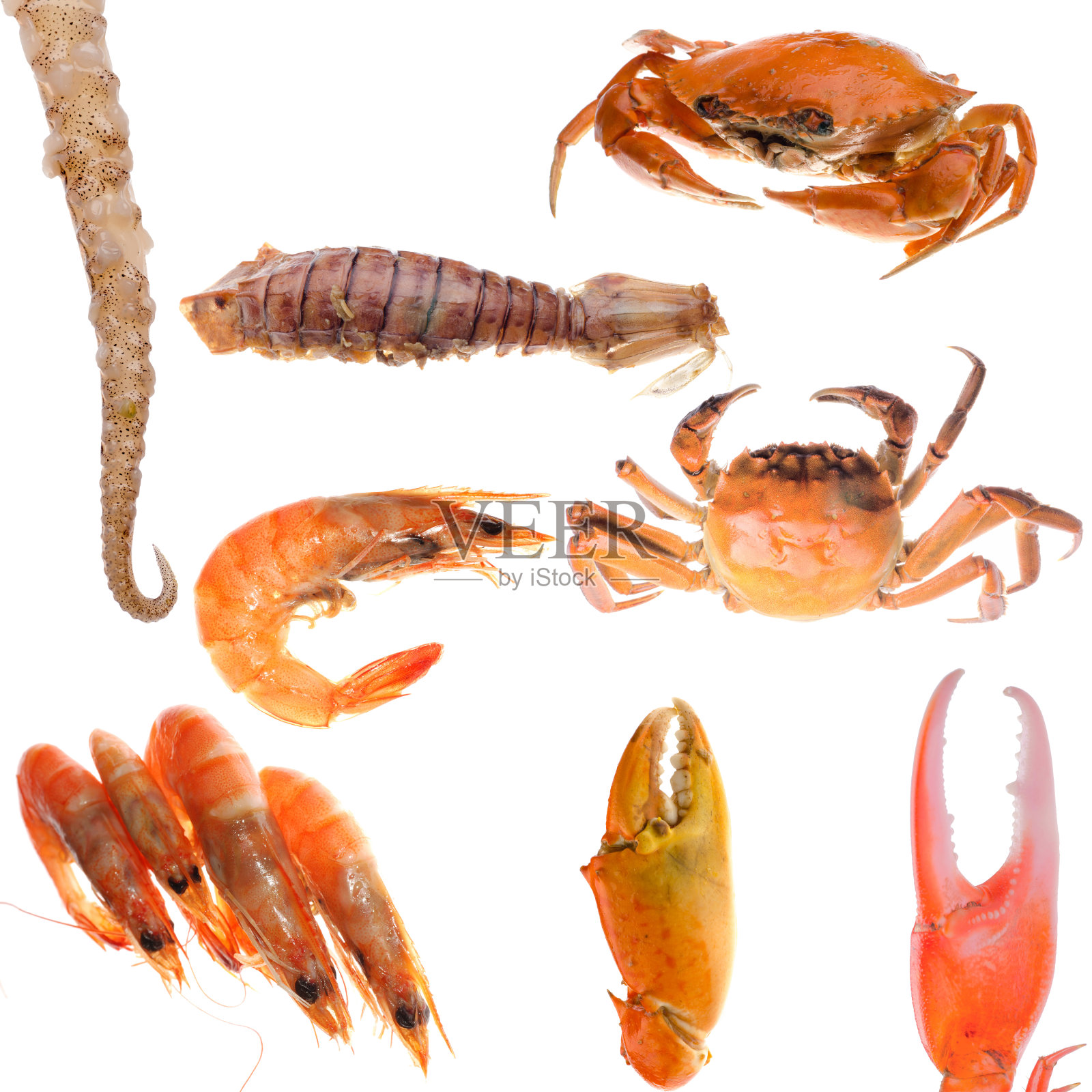 海鲜集合照片摄影图片