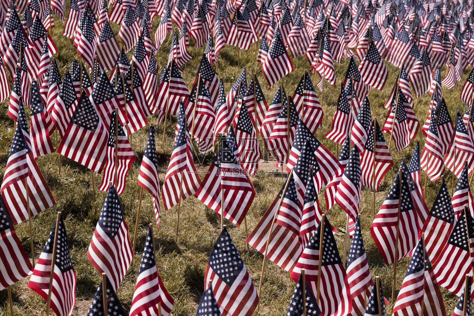 在阵亡将士纪念日展示的美国国旗照片摄影图片