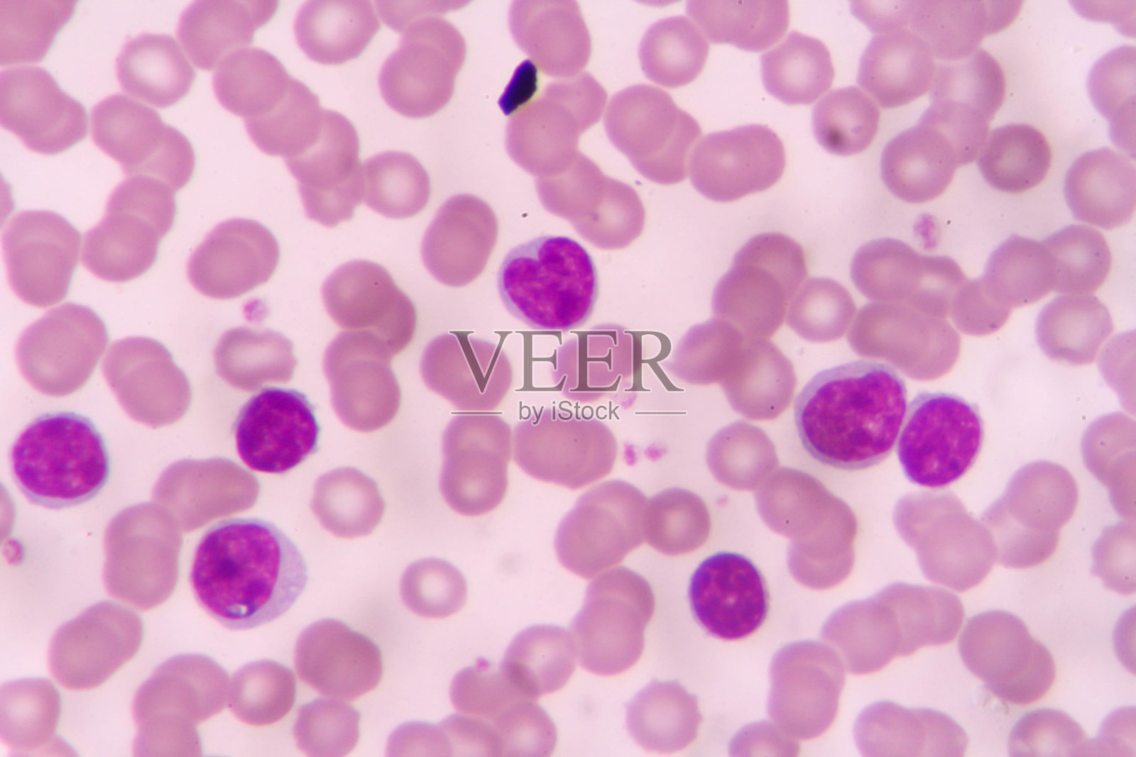 实验室照片摄影图片