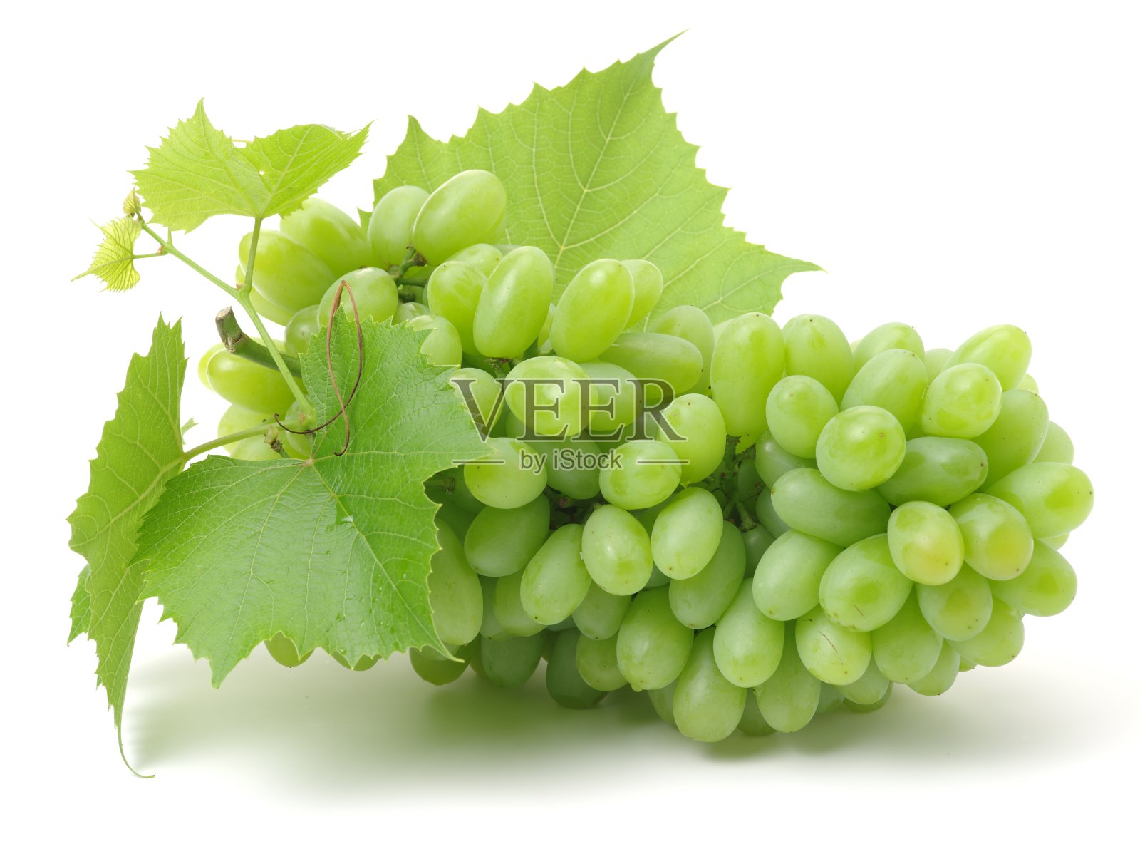 绿色的葡萄照片摄影图片