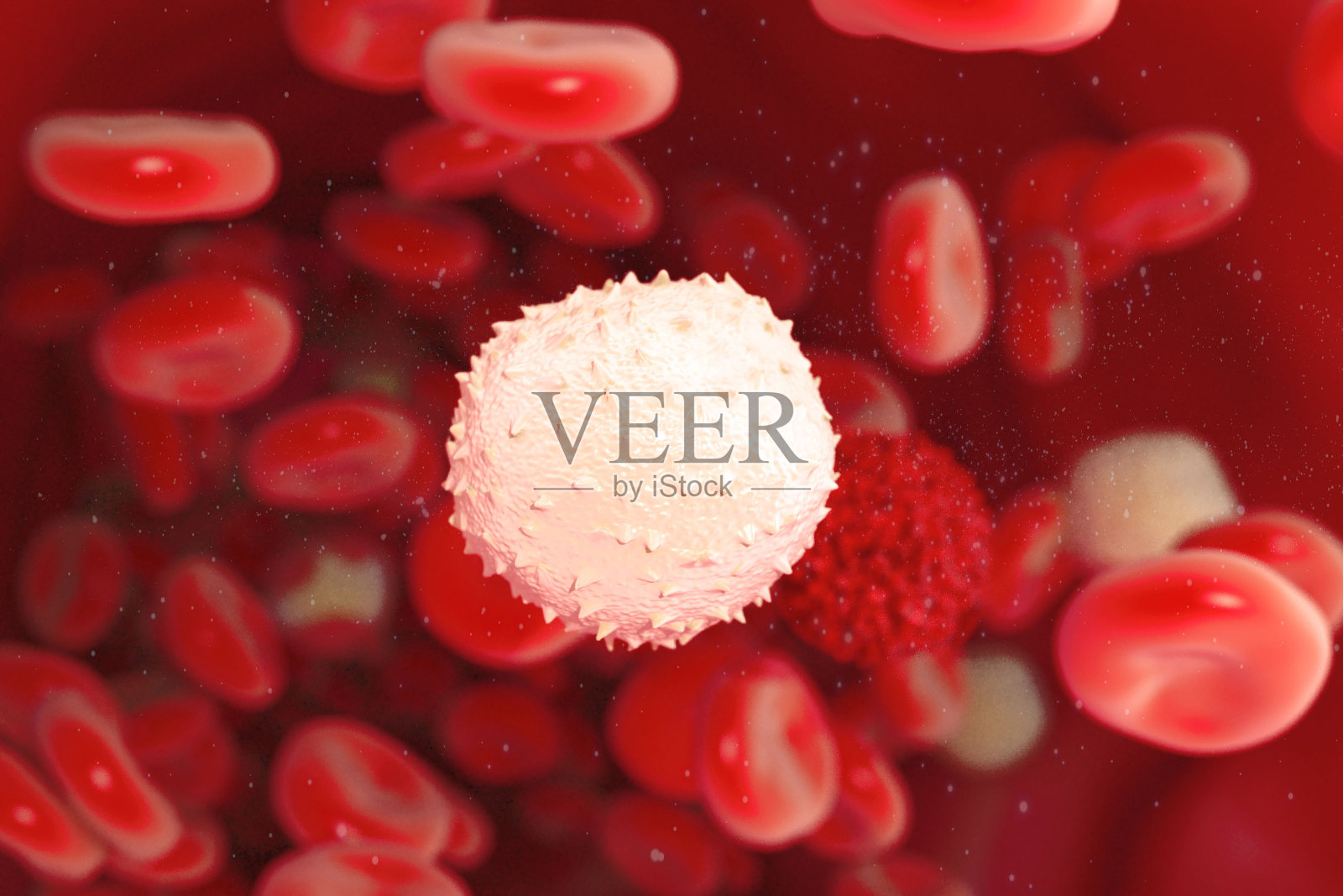 血液中的细胞特写照片摄影图片