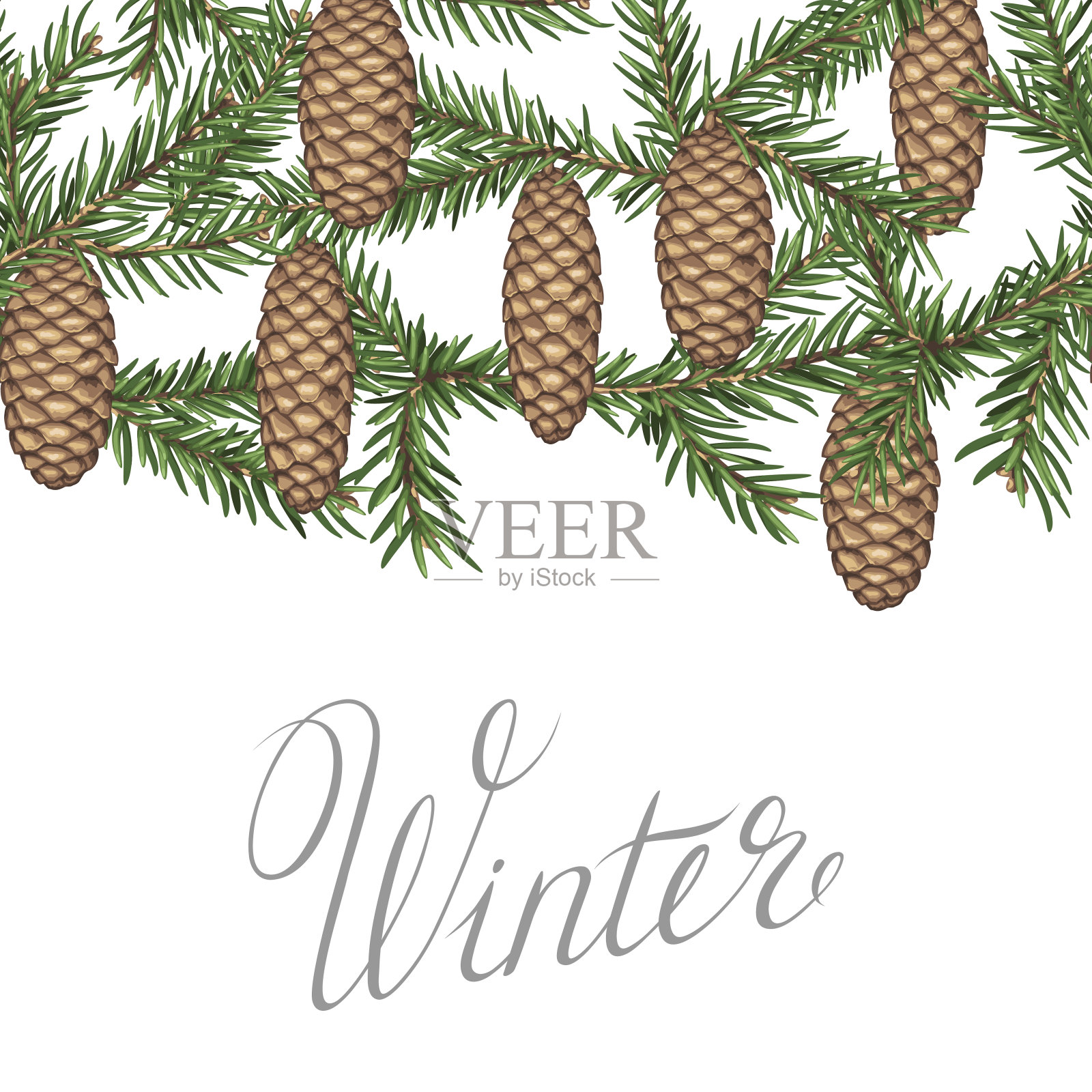 与冷杉树枝和球果的无缝边界。详细的说明插画图片素材