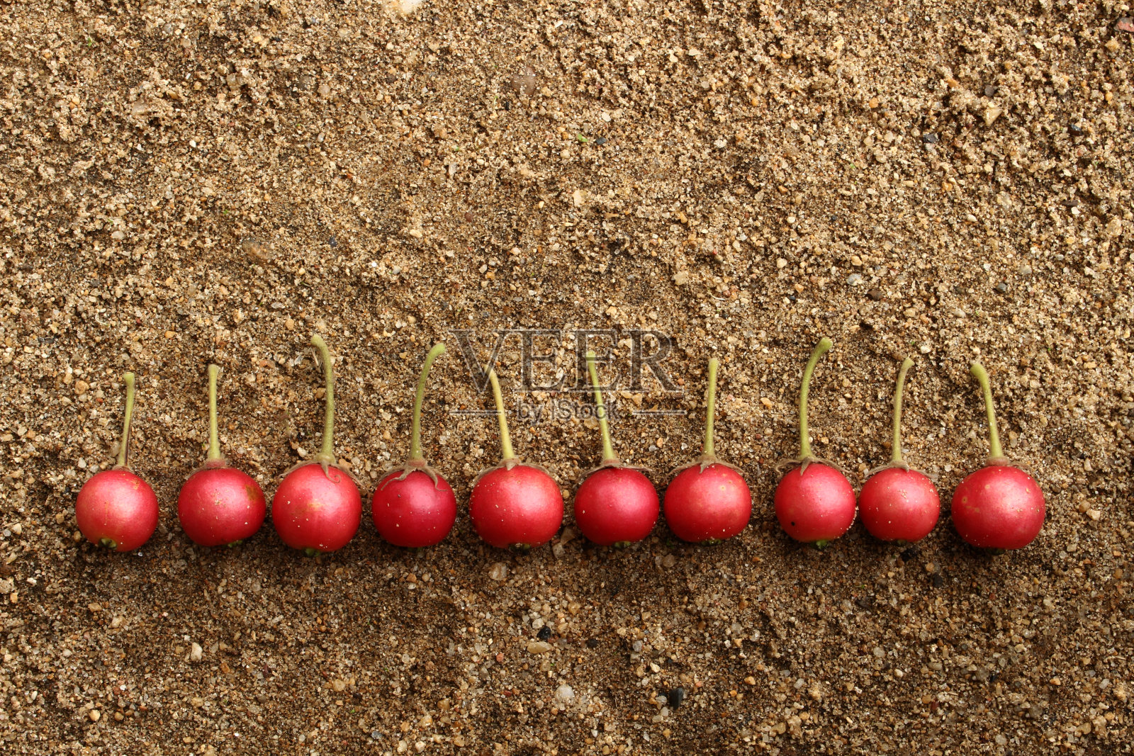 沙上的水果照片摄影图片