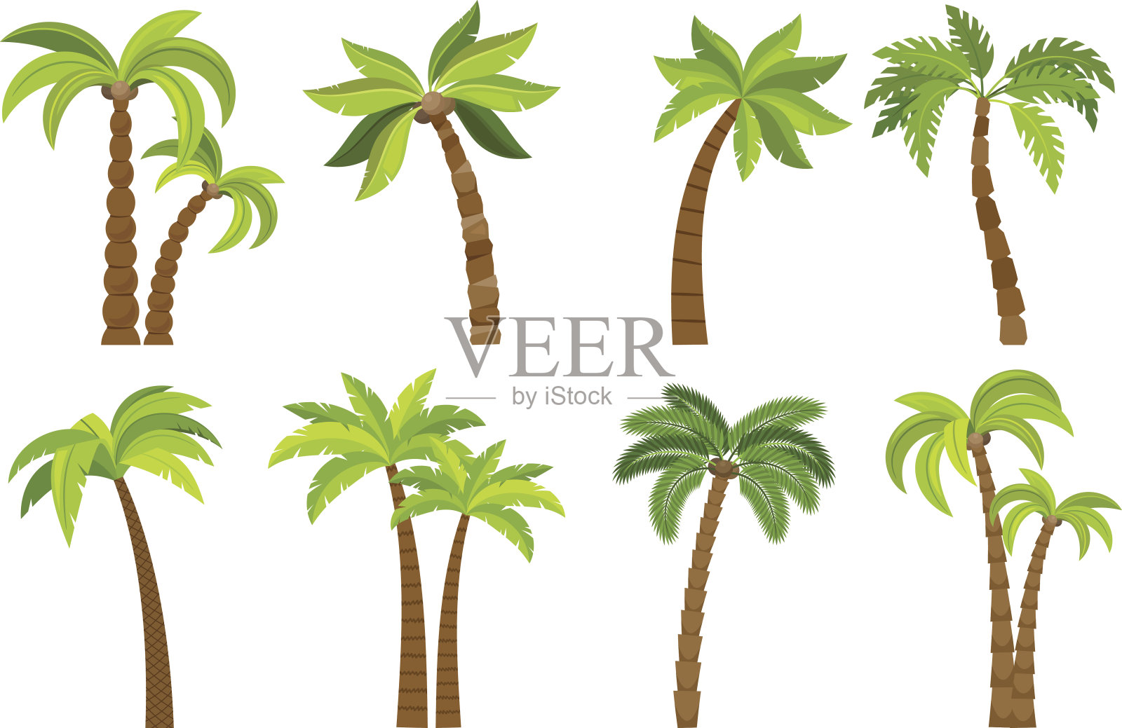 棕榈树孤立在白色设计元素图片