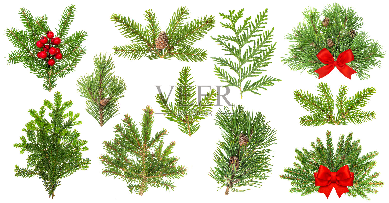 常绿树枝。圣诞装饰品红丝带浆果照片摄影图片