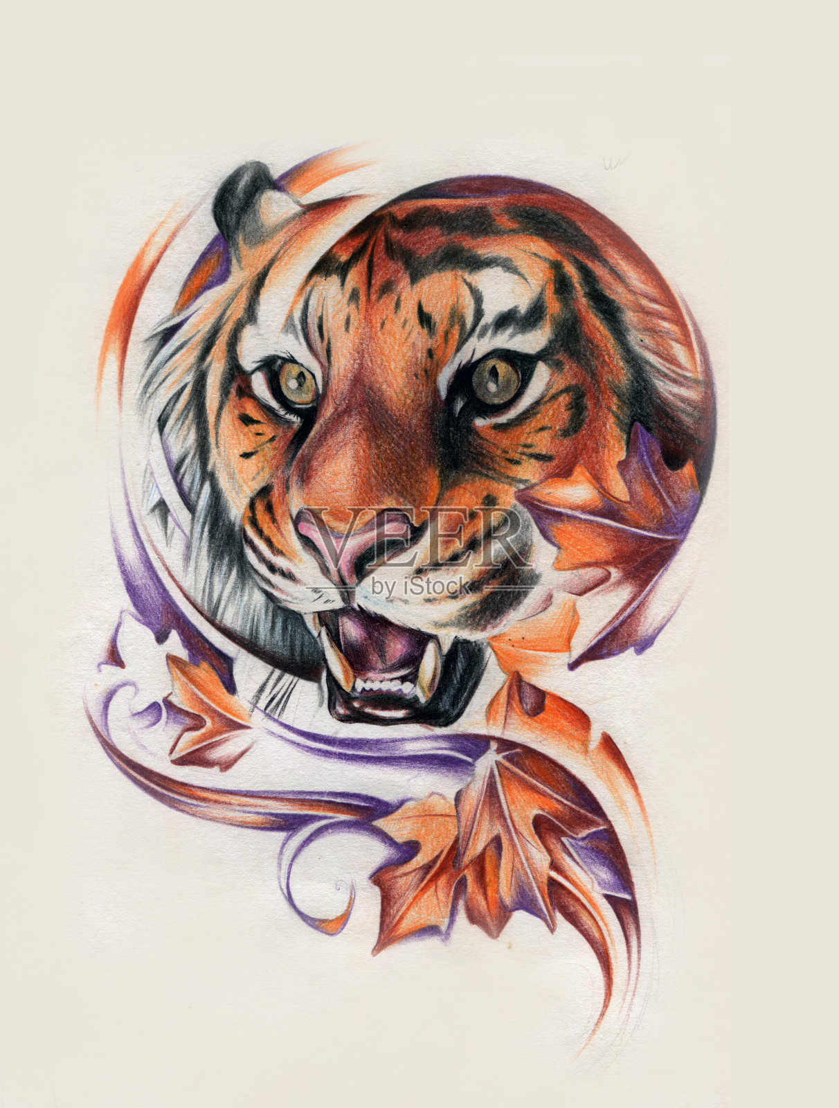 老虎用铅笔在纸上画插画图片素材