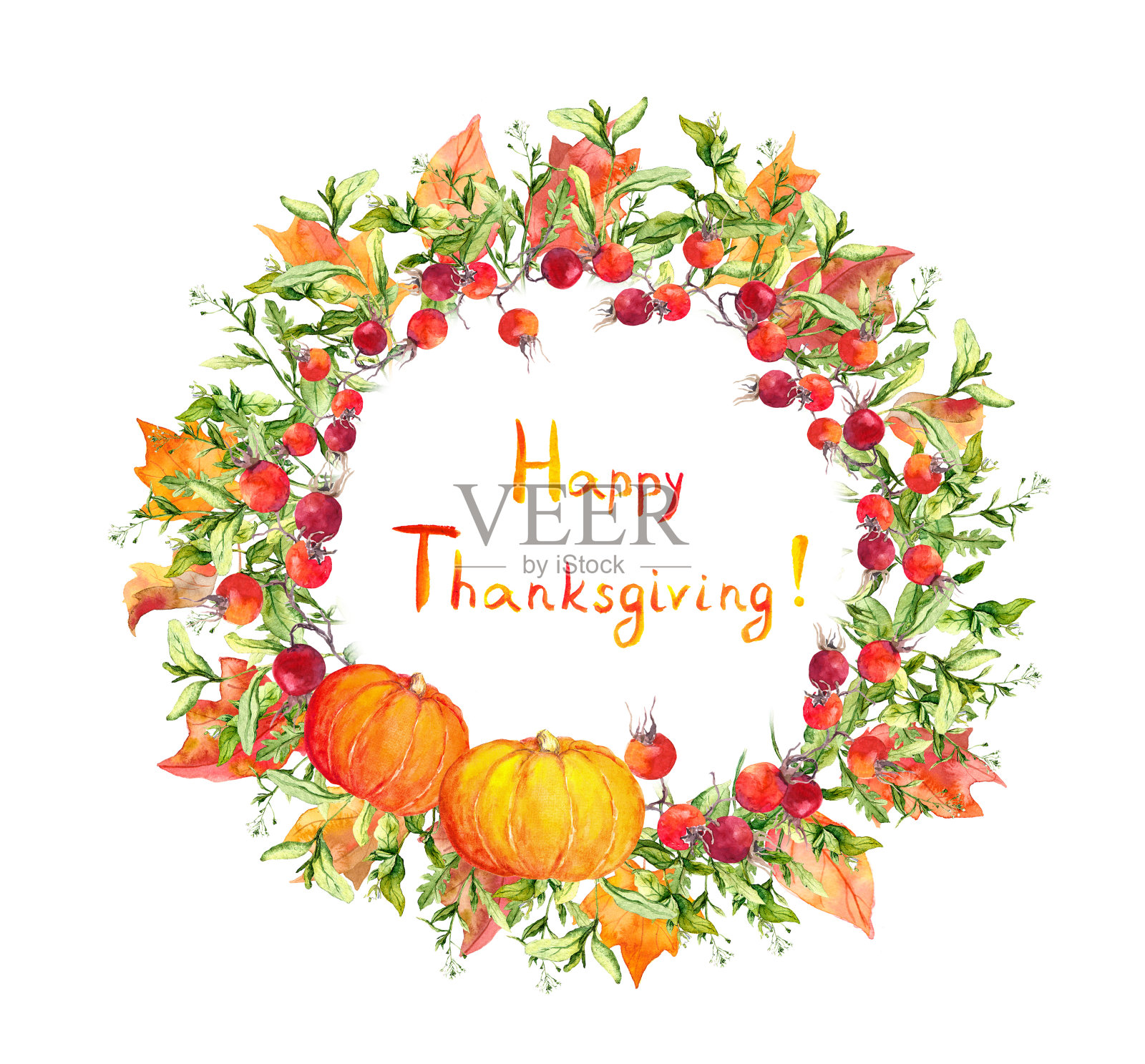 感恩节花环-南瓜，浆果，秋叶。水彩圆形边界插画图片素材
