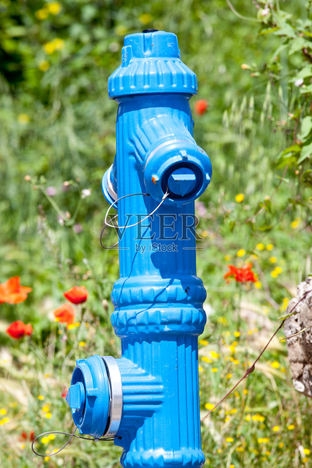 自然界中的消火栓照片摄影图片