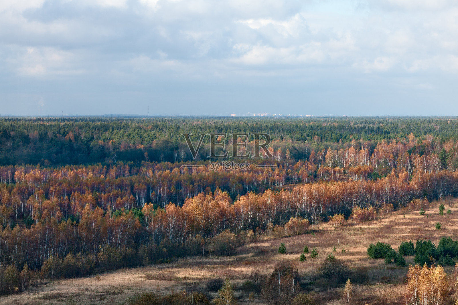 金秋的天际线照片摄影图片