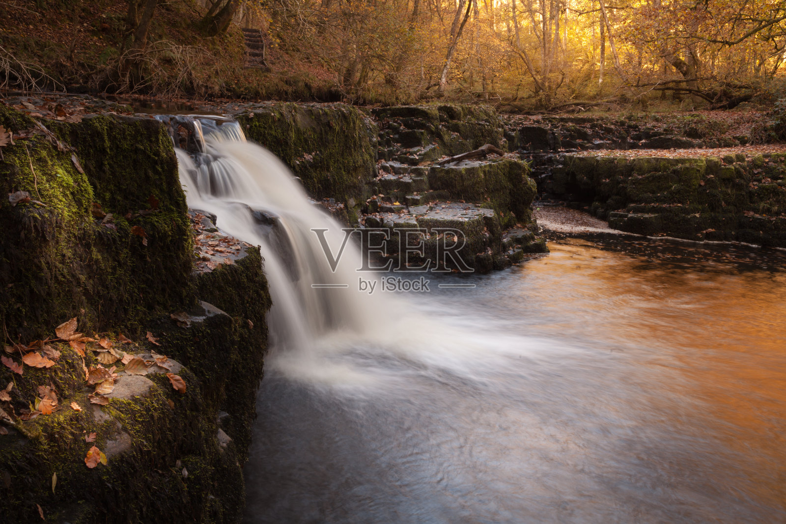 阿丰内德照片摄影图片
