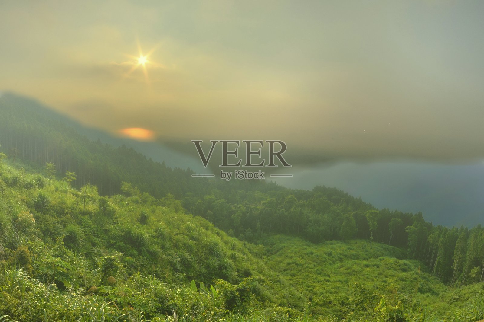 阳光照片摄影图片