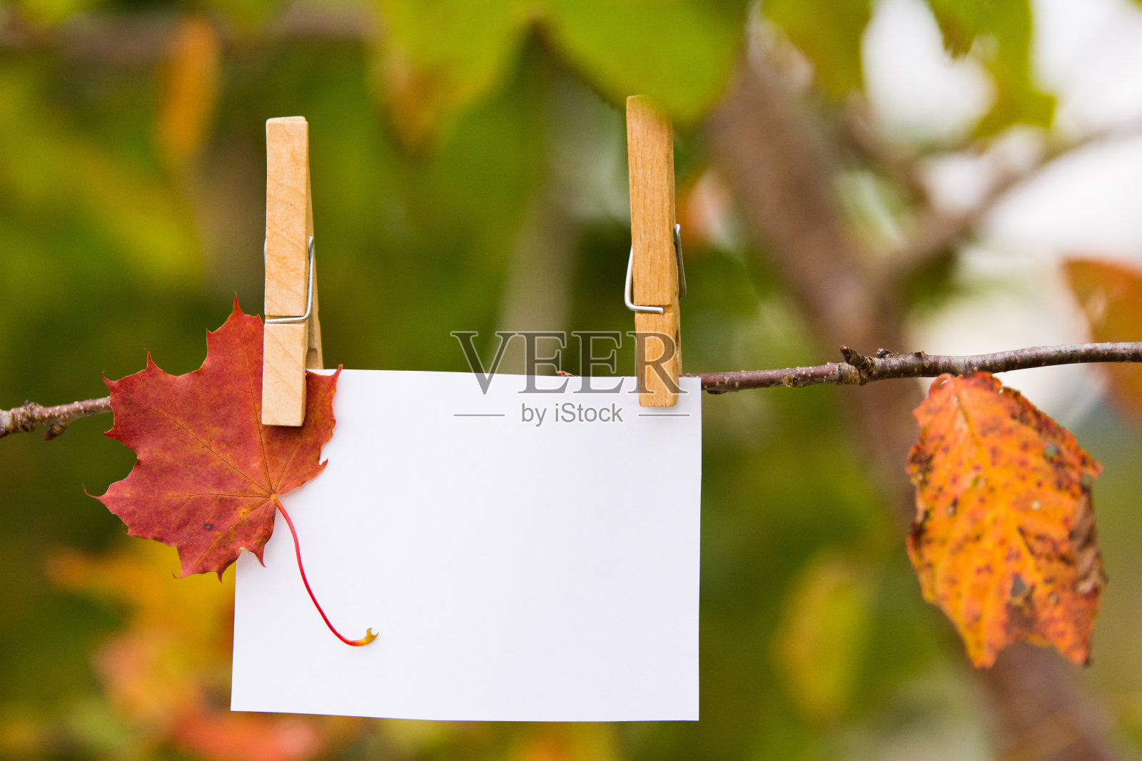 秋的户外景物与空注照片摄影图片