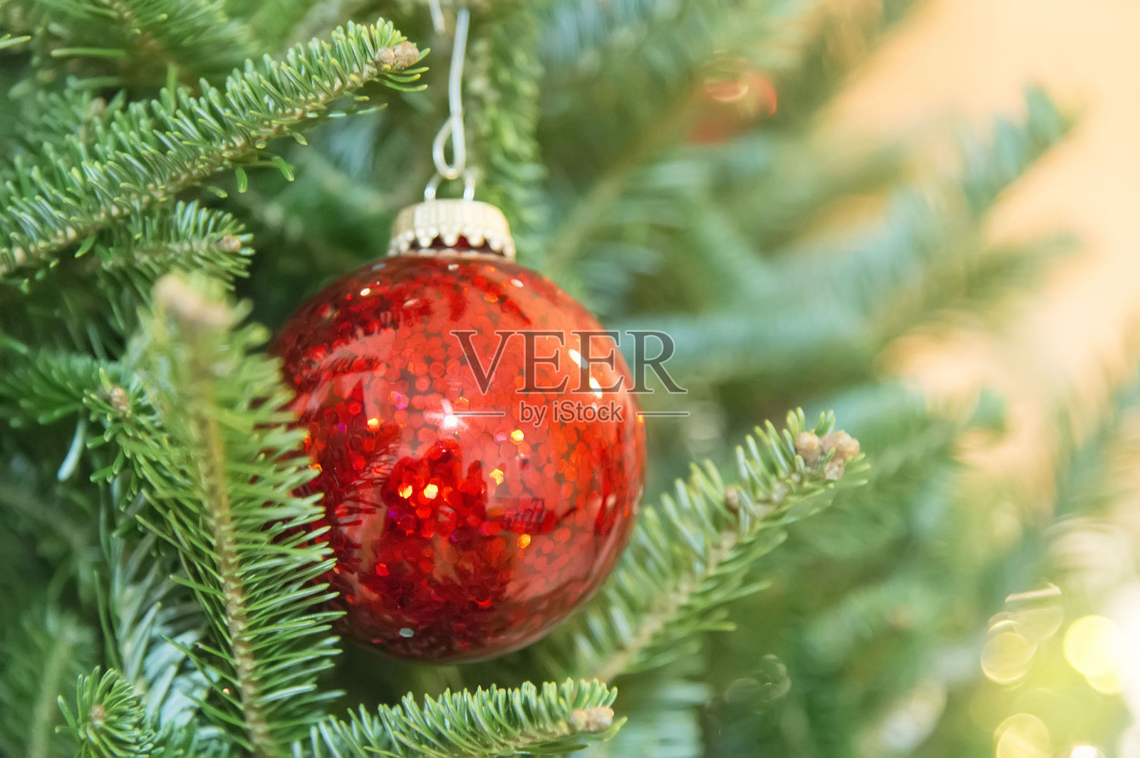 圣诞装饰红球在冷杉树上照片摄影图片