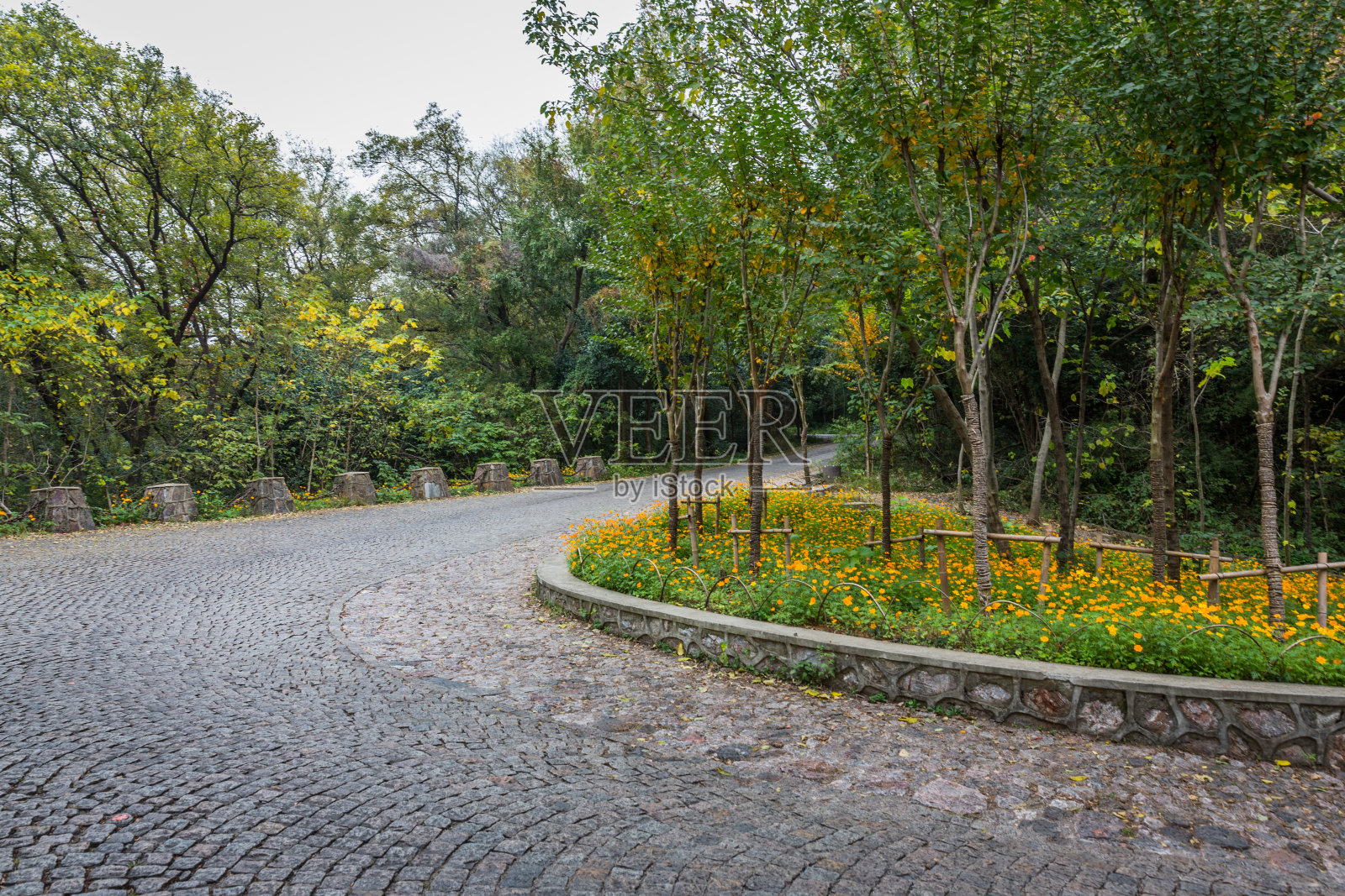 无锡念花湾自然公园照片摄影图片