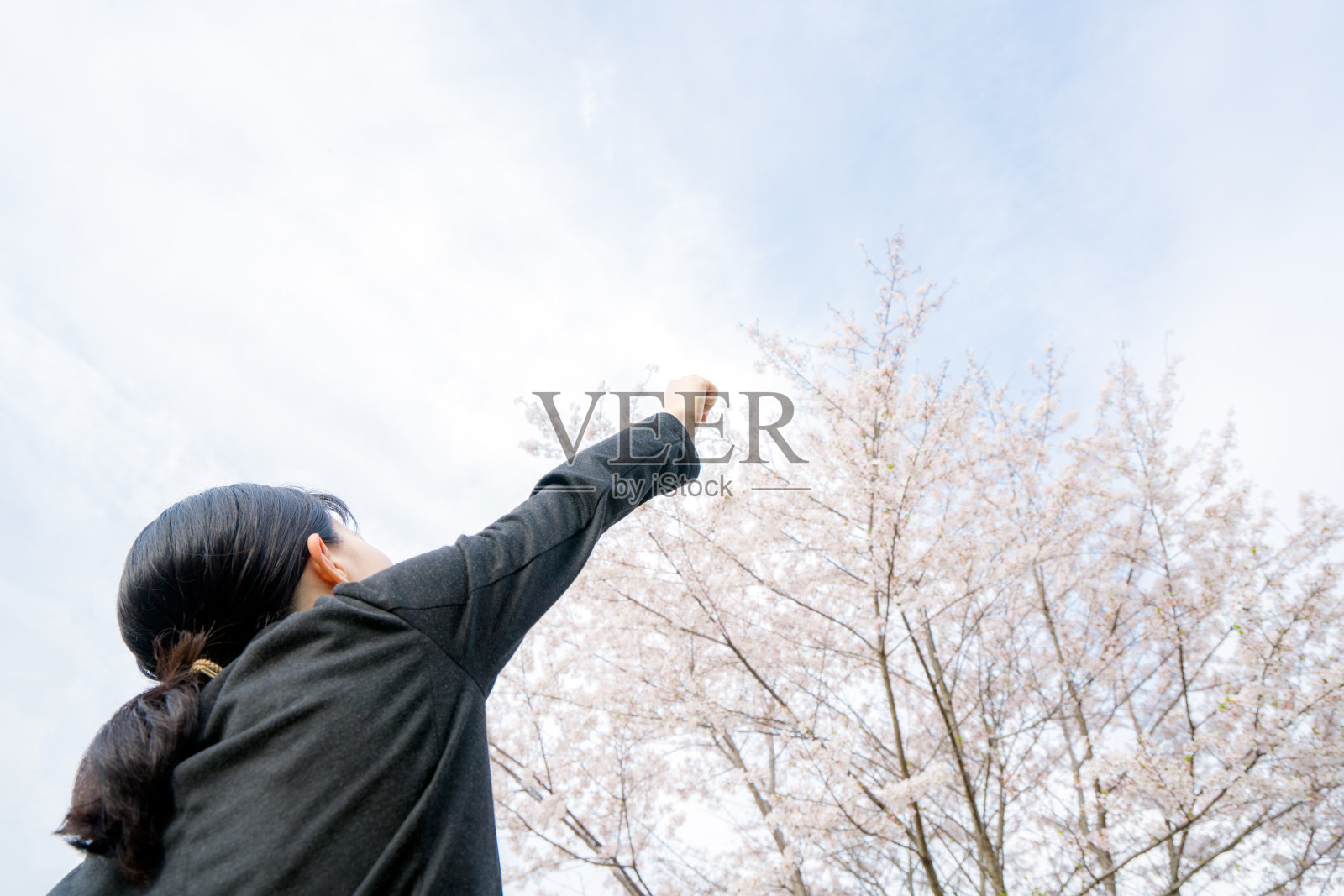 樱花下快乐的女商人照片摄影图片