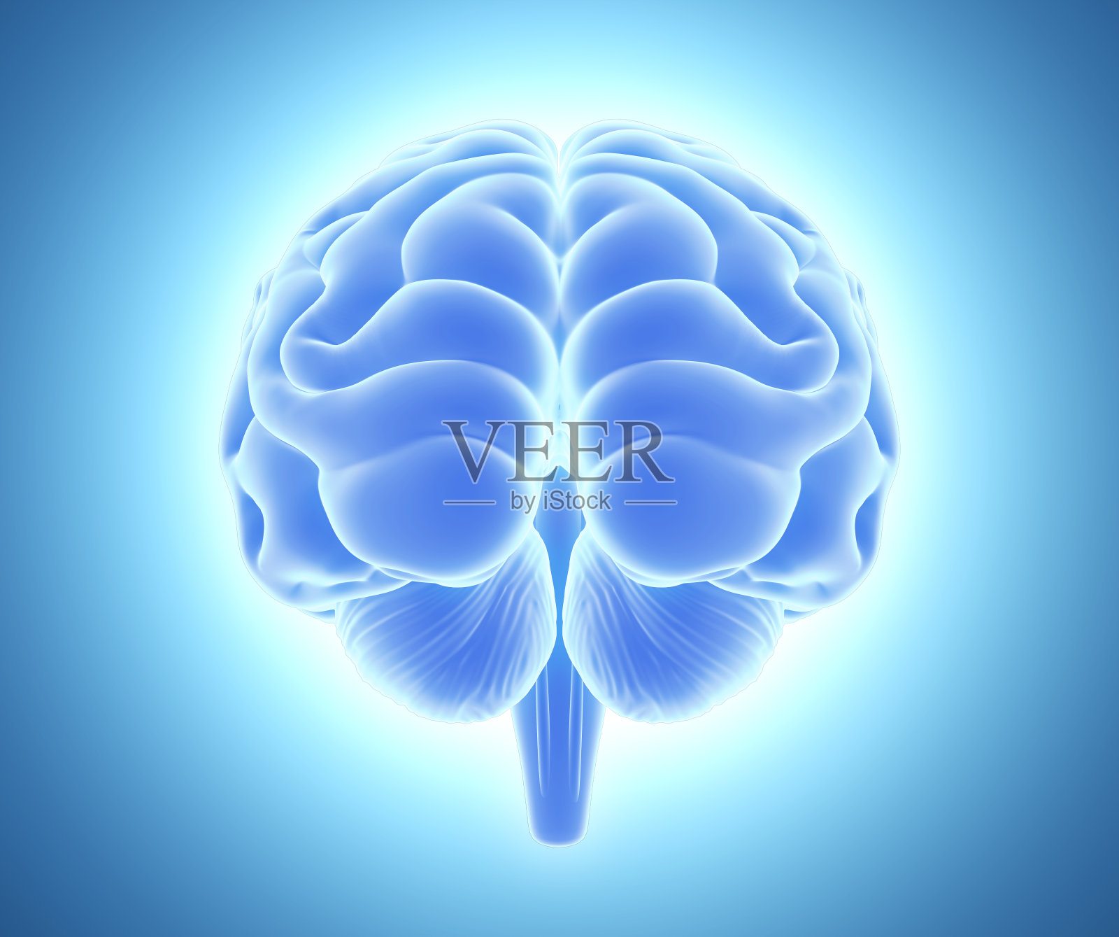 亮蓝色大脑的3D插图。照片摄影图片