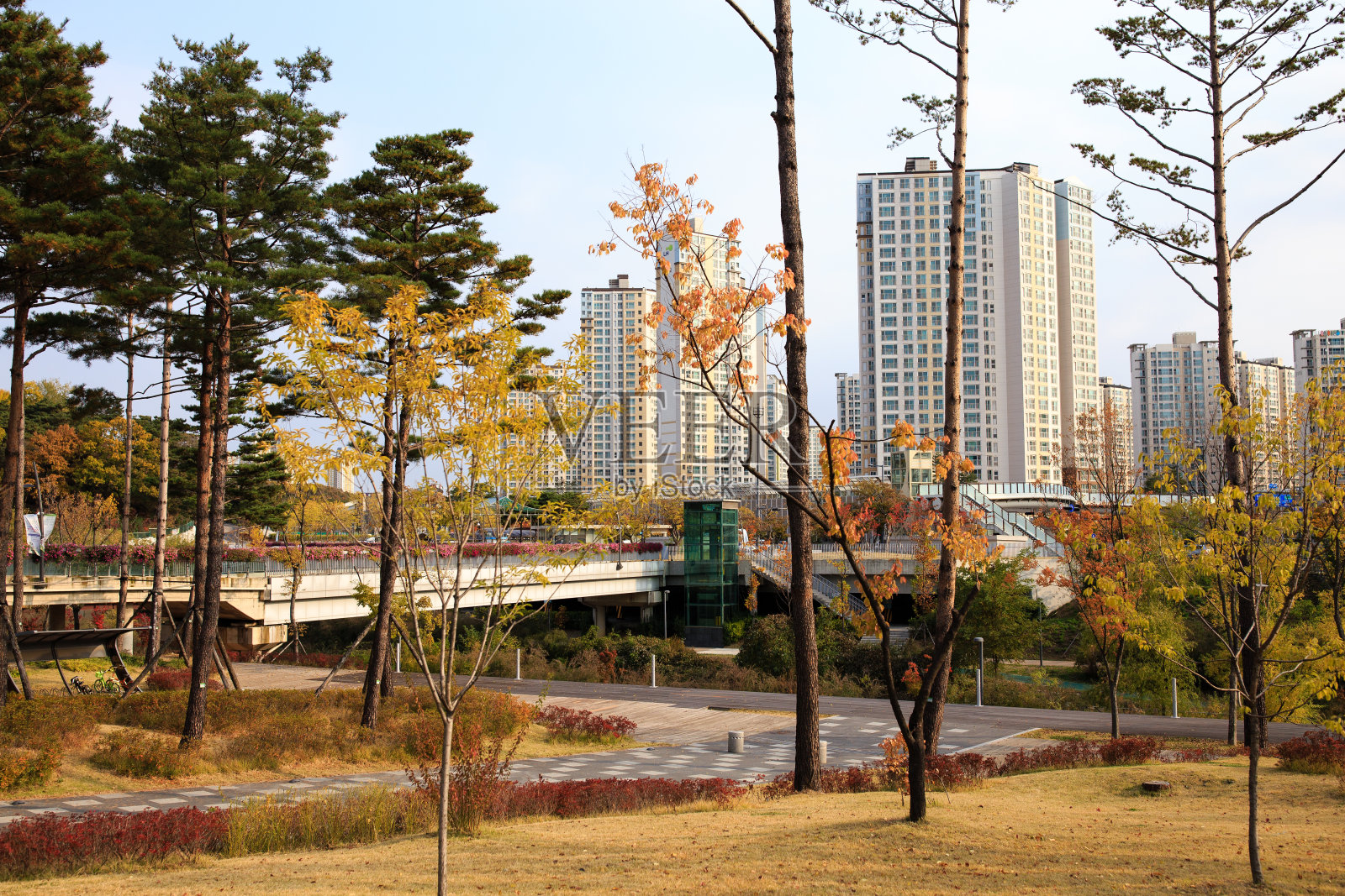 光阳县新城公寓照片摄影图片