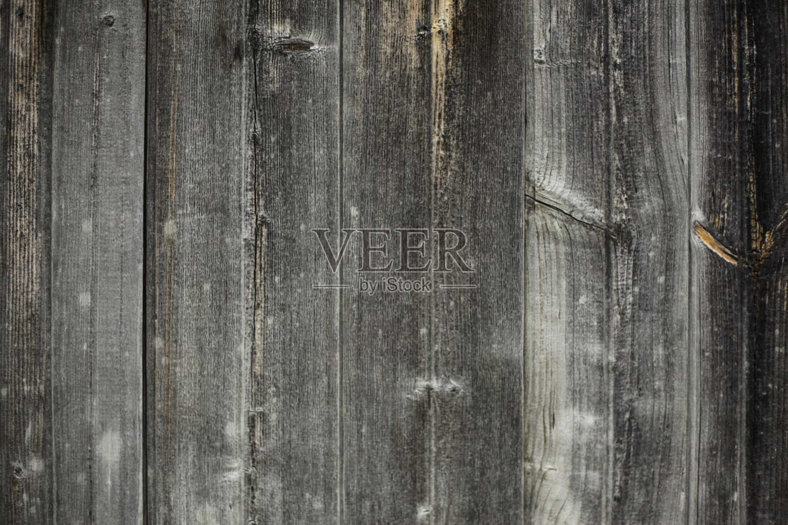 纹理木照片摄影图片