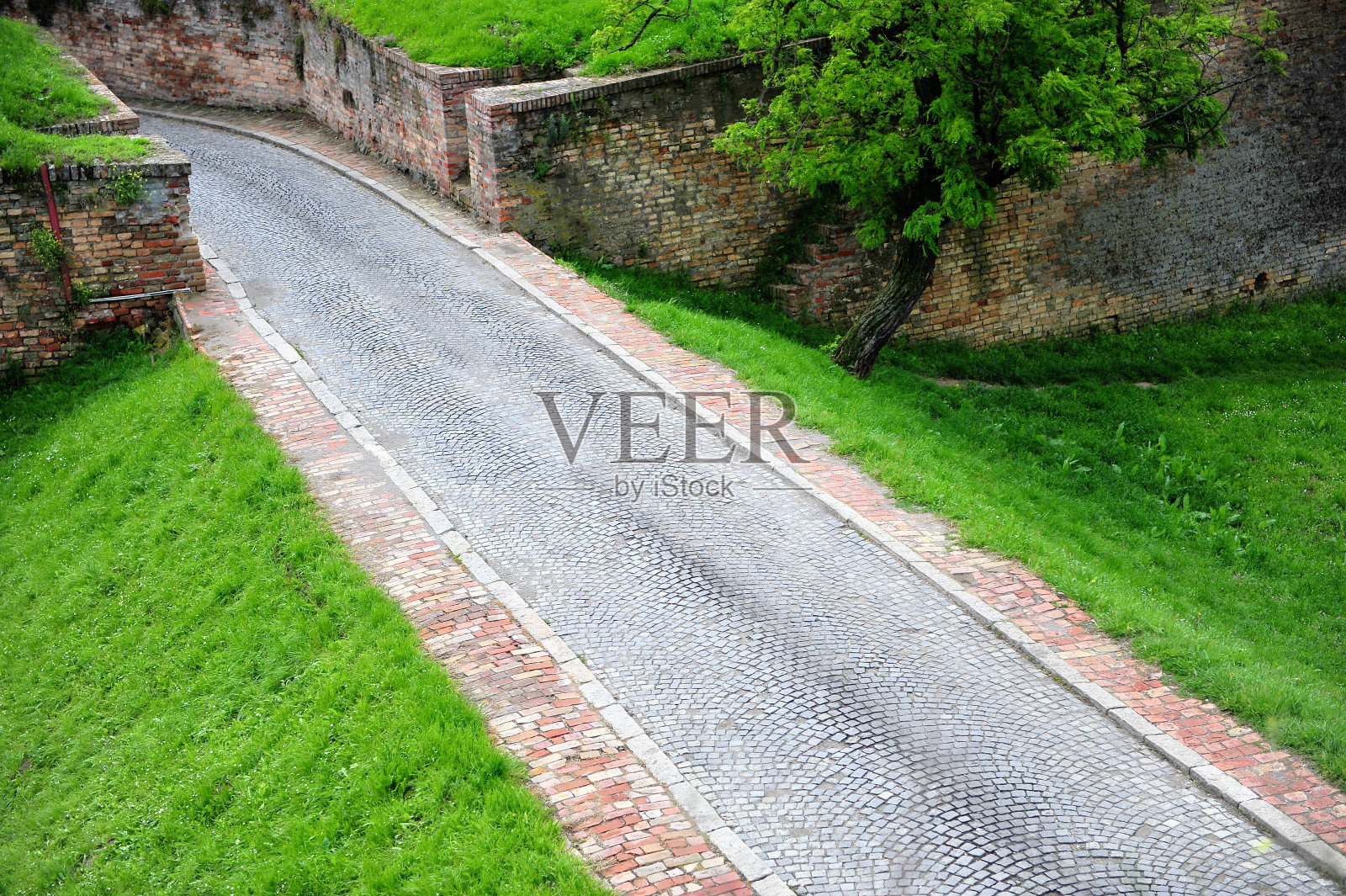 公园里的路照片摄影图片