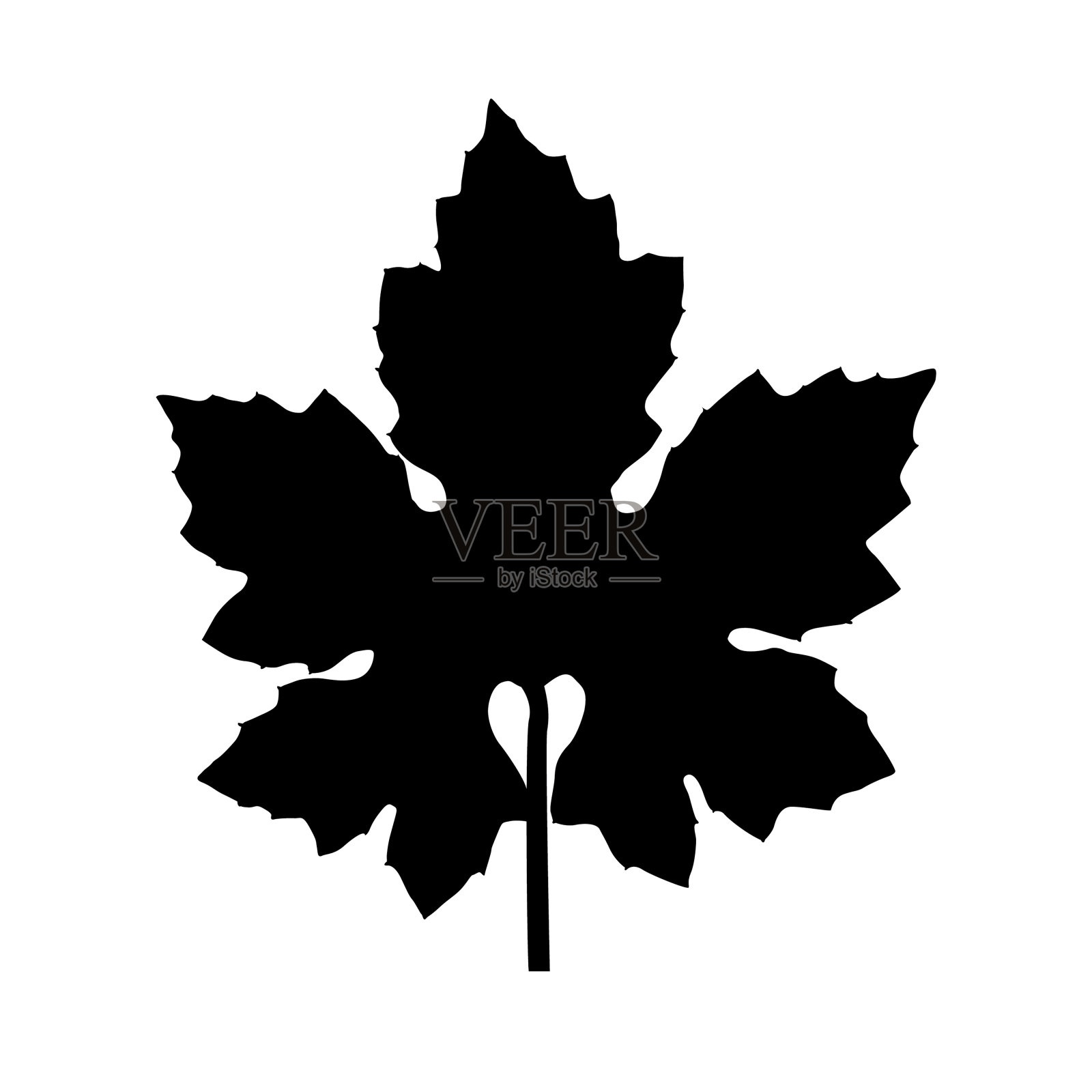 叶轮廓照片摄影图片